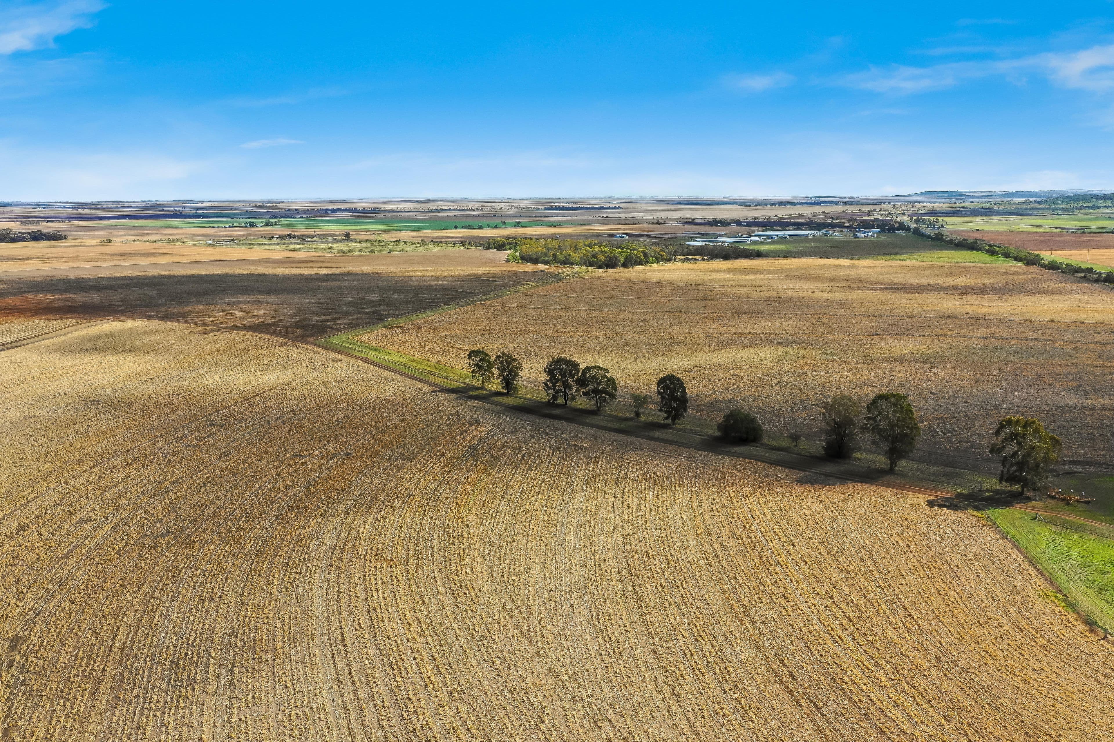 226 Tummaville Road, Kincora, Pittsworth QLD 4356, Pittsworth - Thumbnail 2