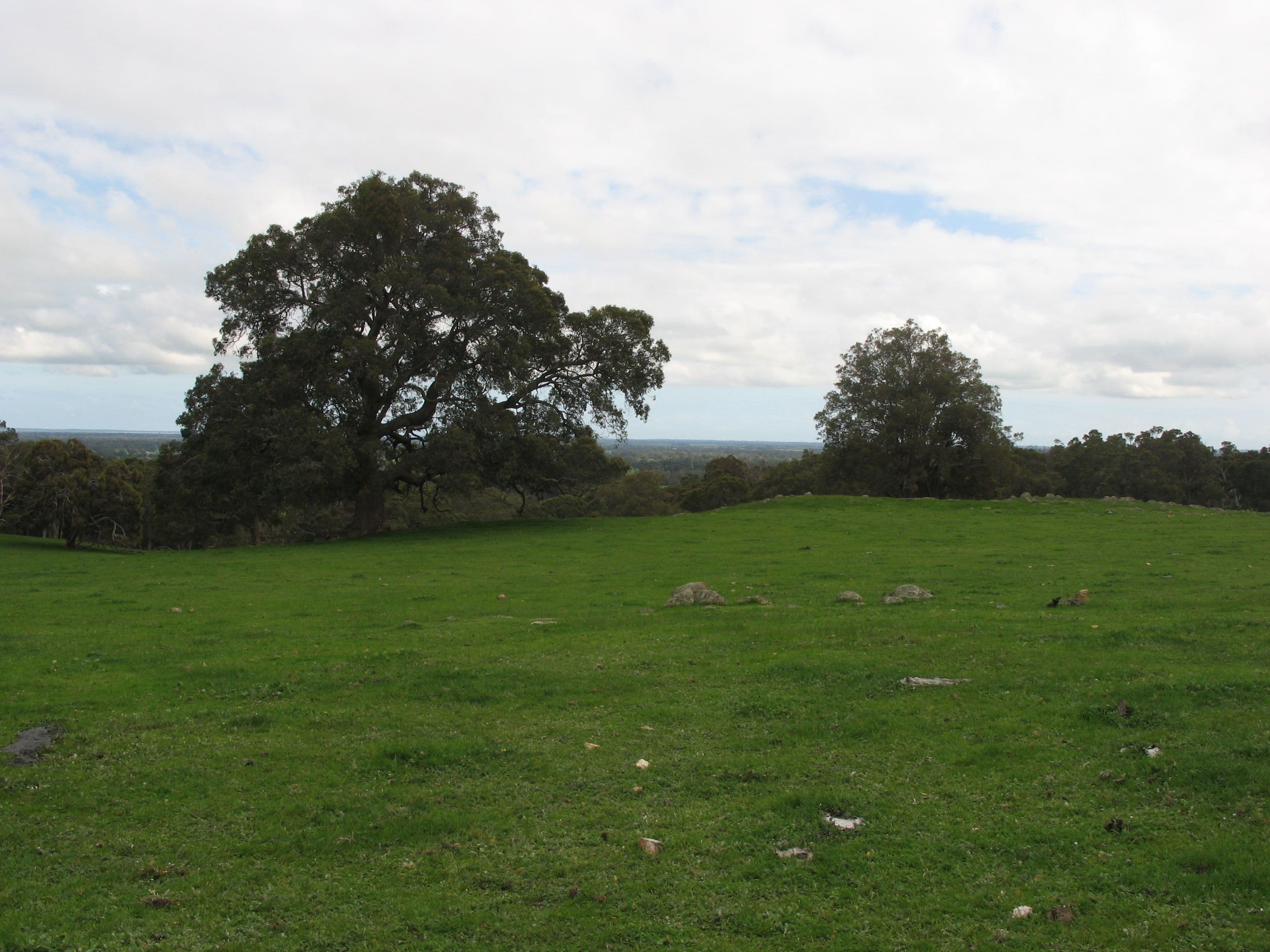 199 Morell Road, North Dandalup WA 6207, North Dandalup - Thumbnail 5