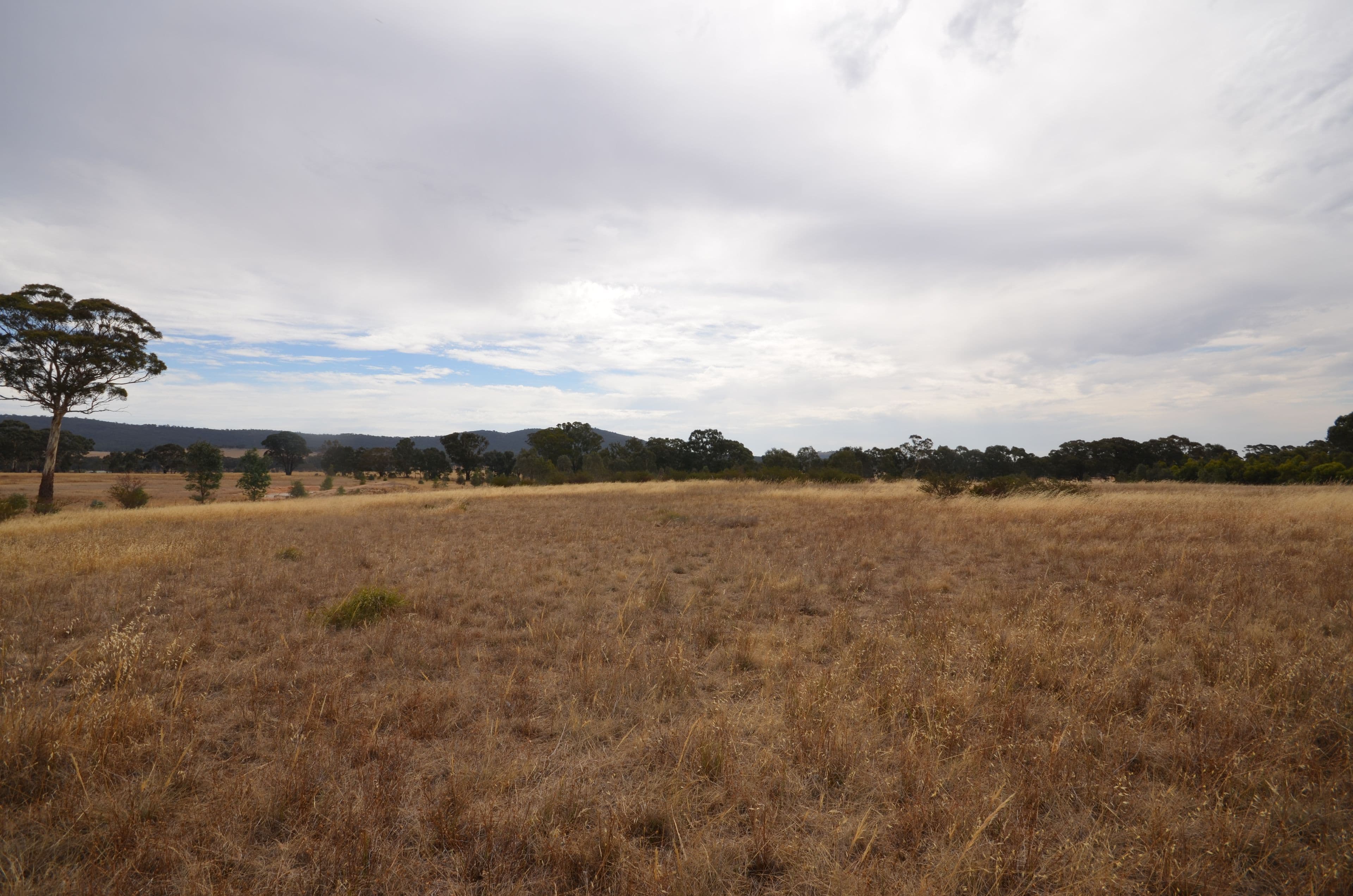 CA 65 Frenchmans-Starnaud Road, BARKLY  Victoria  3384, Australia, Barkly - Thumbnail 3