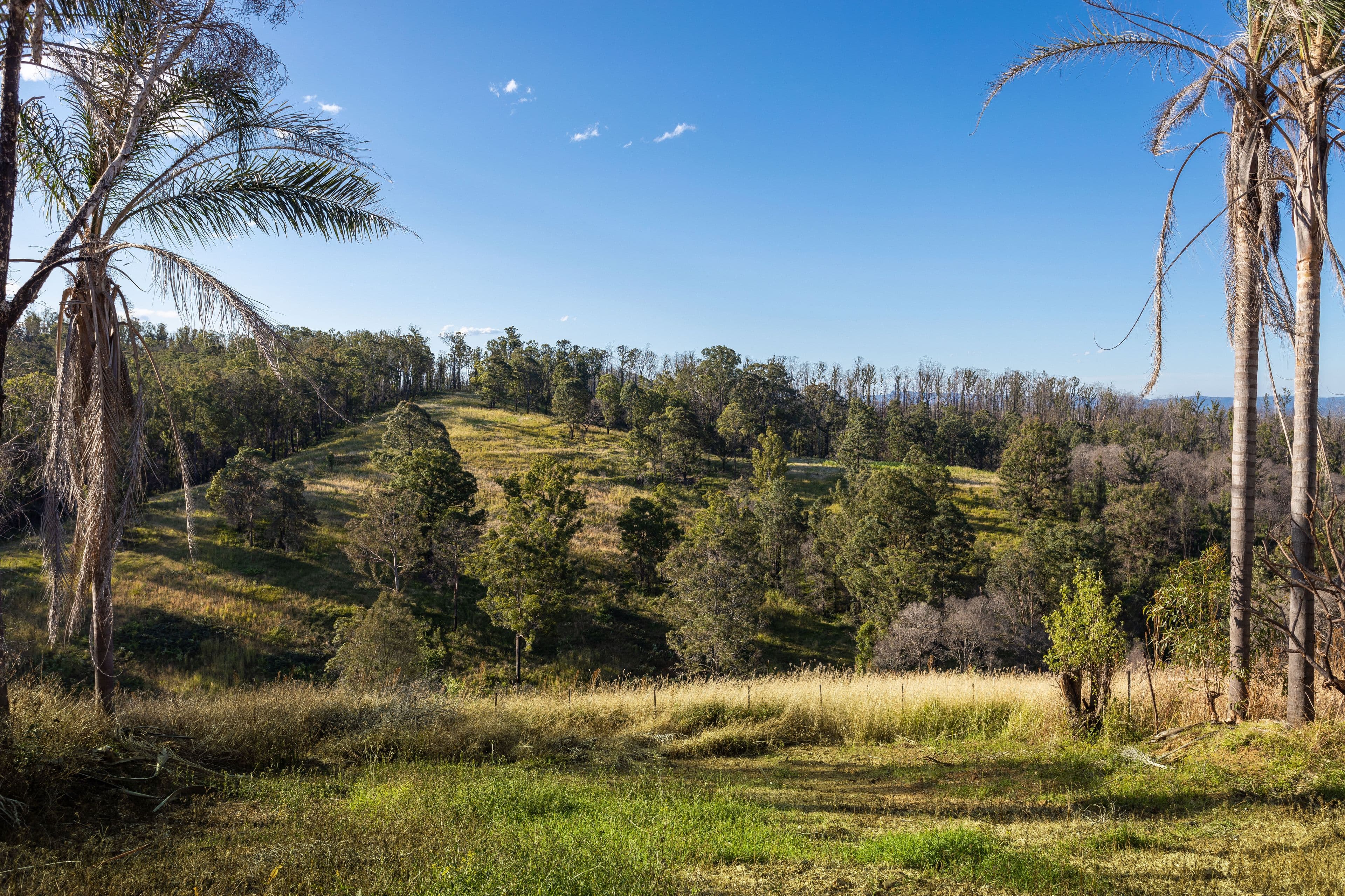 236 Fords Road, Koorainghat NSW 2430, Koorainghat - Thumbnail 4