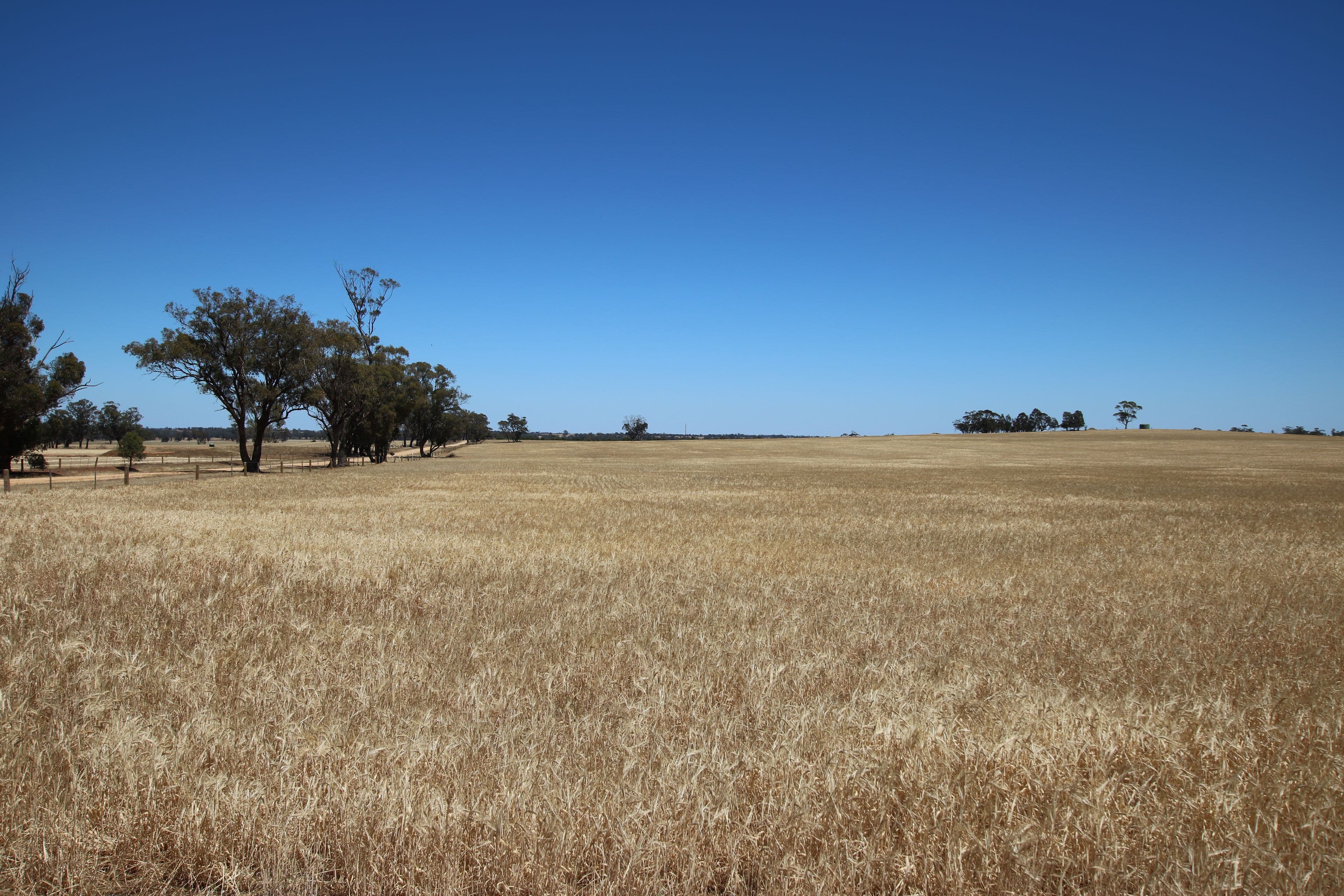 00 Seven Mile Road, Dooboobetic VIC 3478, Dooboobetic - Thumbnail 4