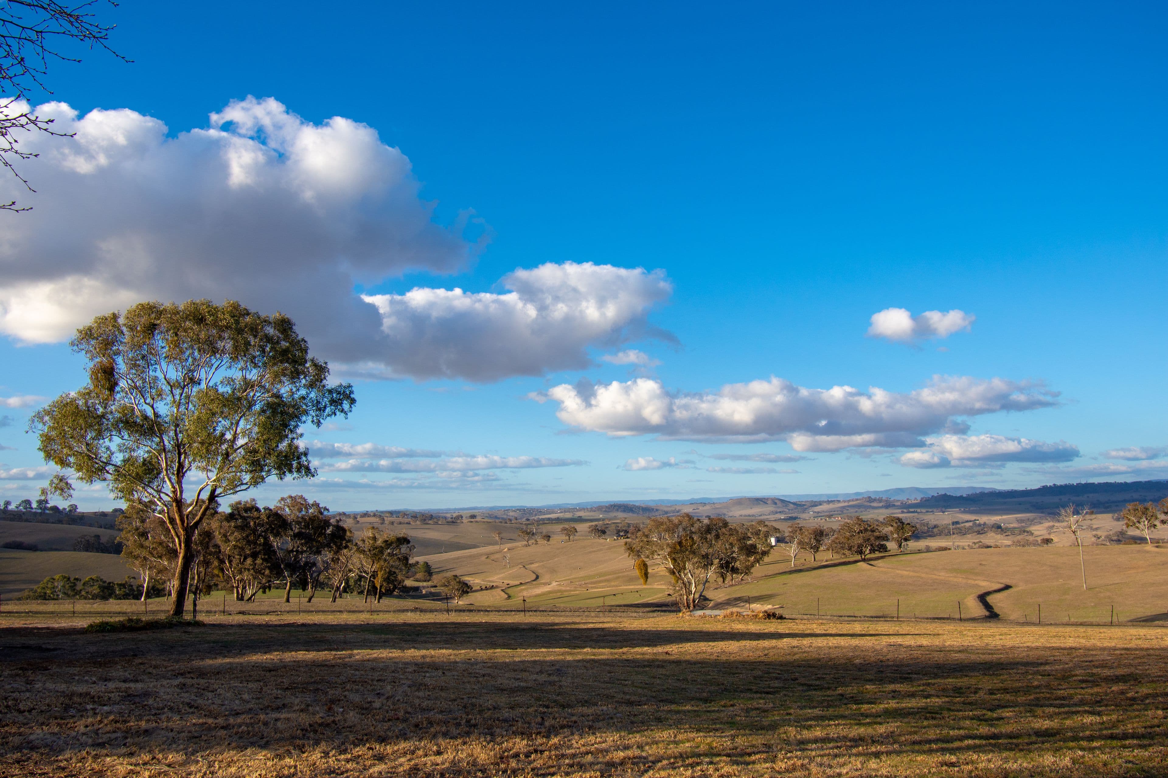1554 Mid Western Highway, Evans Plains NSW 2795, Evans Plains - Thumbnail 3