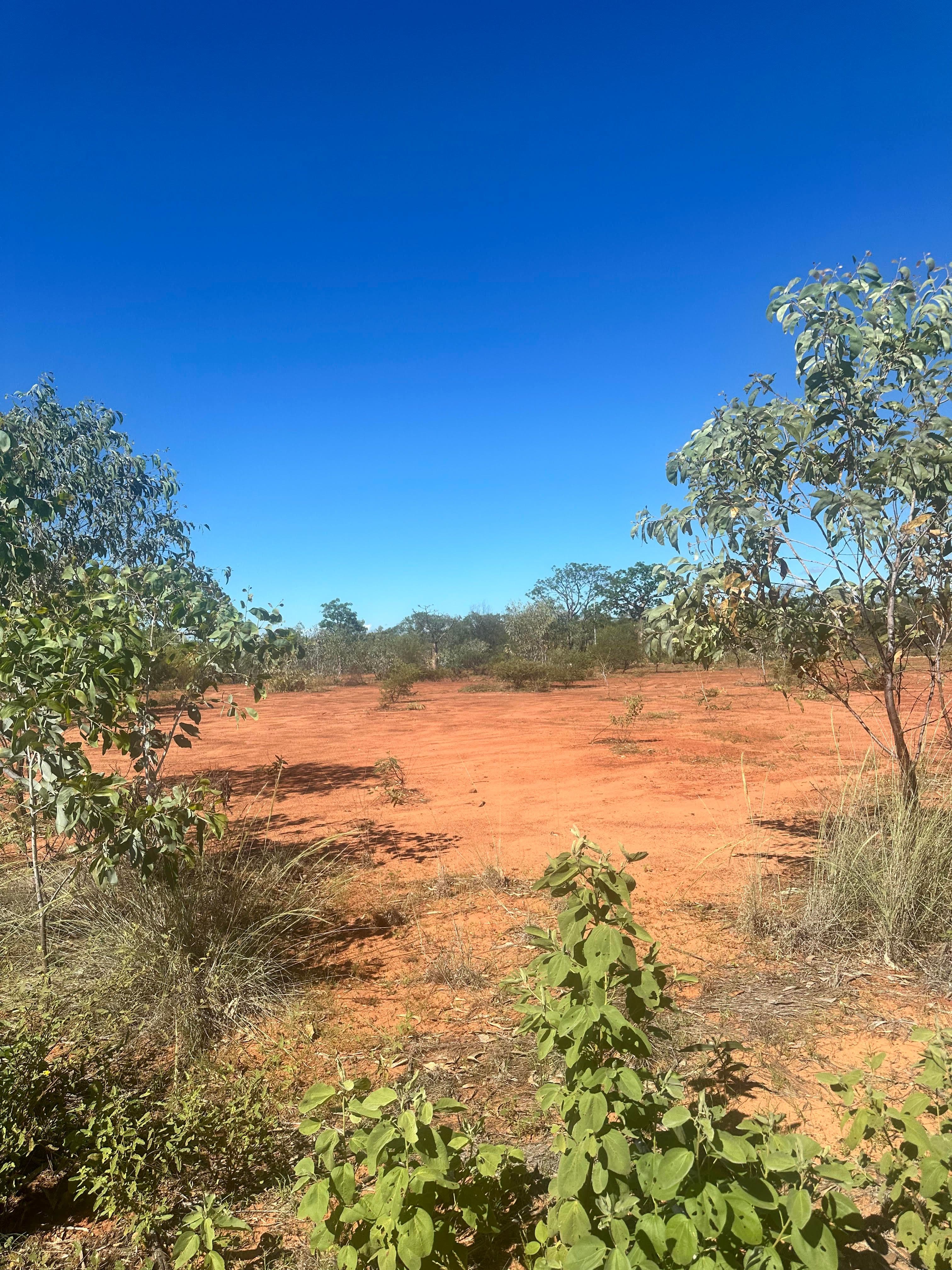 11 Dollarbird Street, Derby WA 6728, Derby - Thumbnail 5