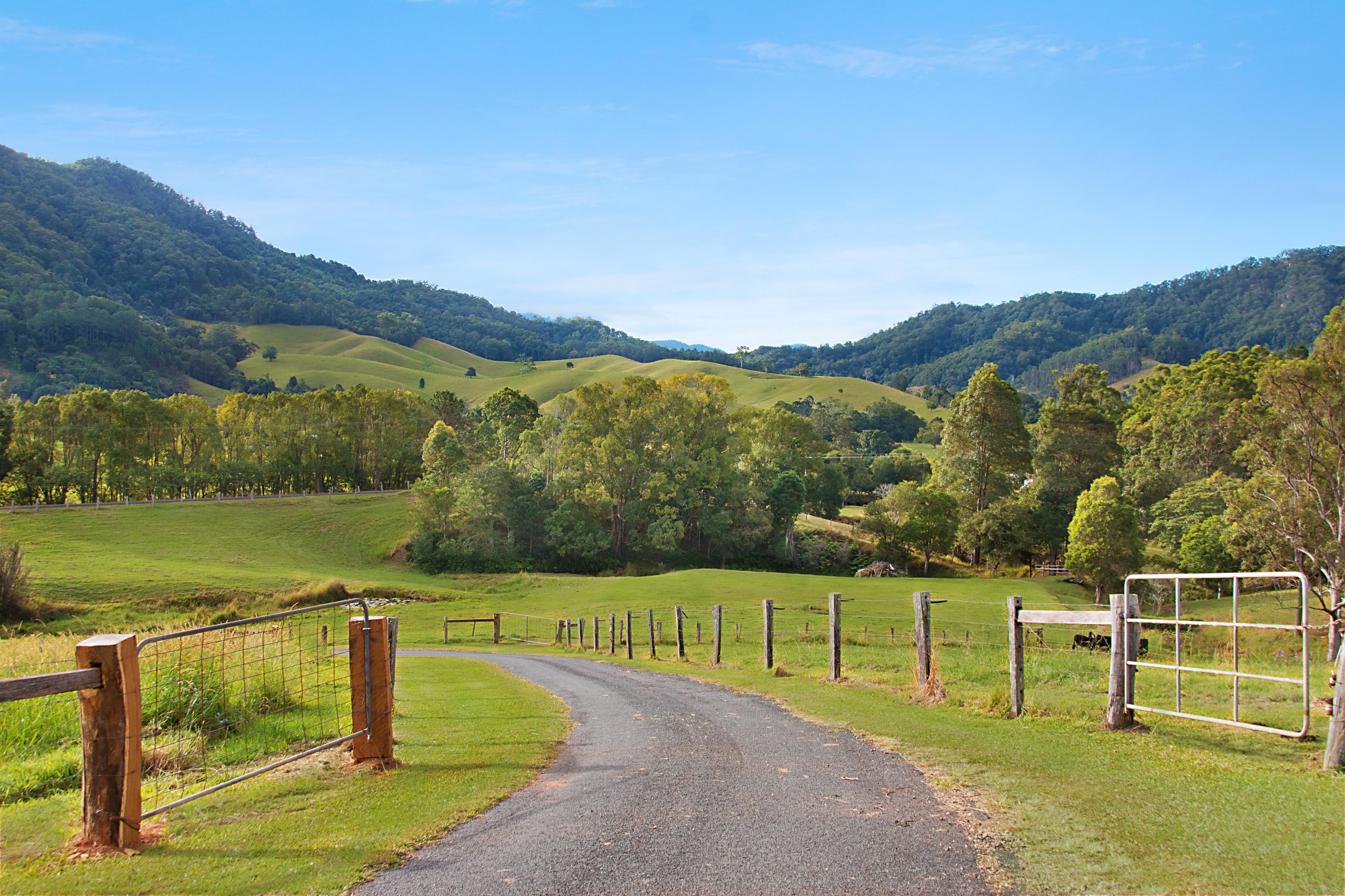 1 Carilla Place, Eungella NSW 2484, Eungella - Thumbnail 4