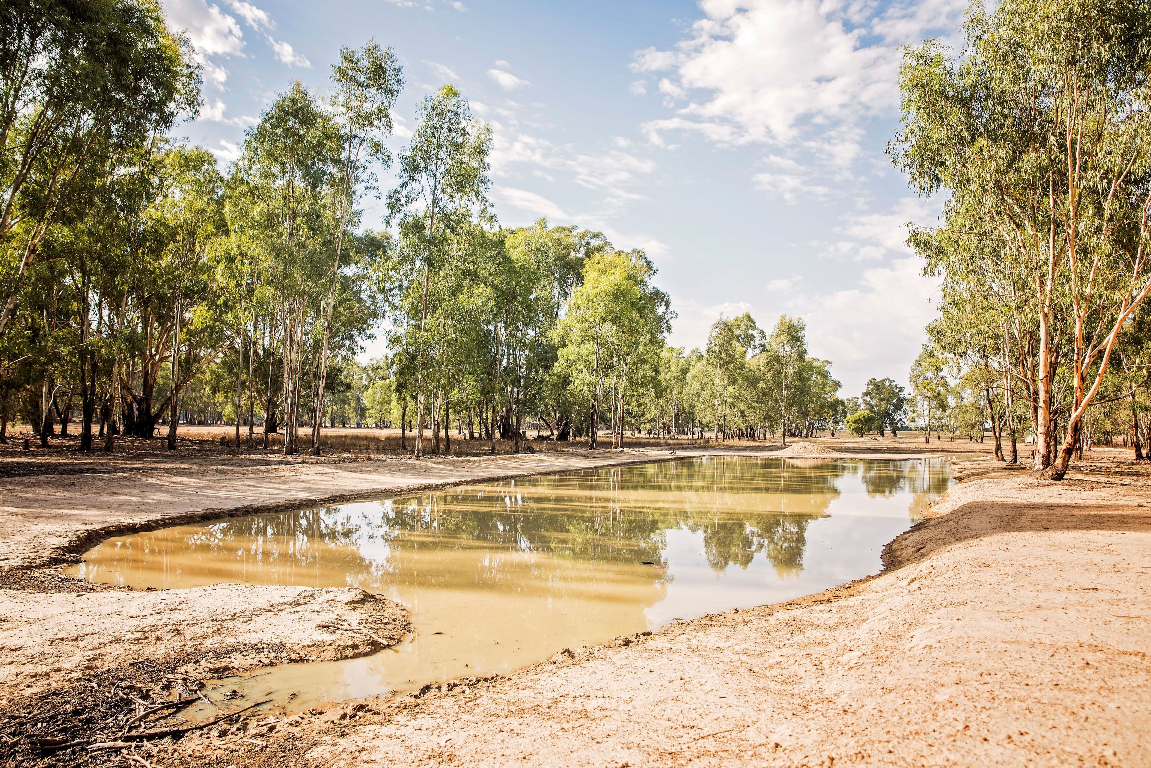 Lot 2 Pianta Road, Echuca VIC 3564, Echuca - Thumbnail 5