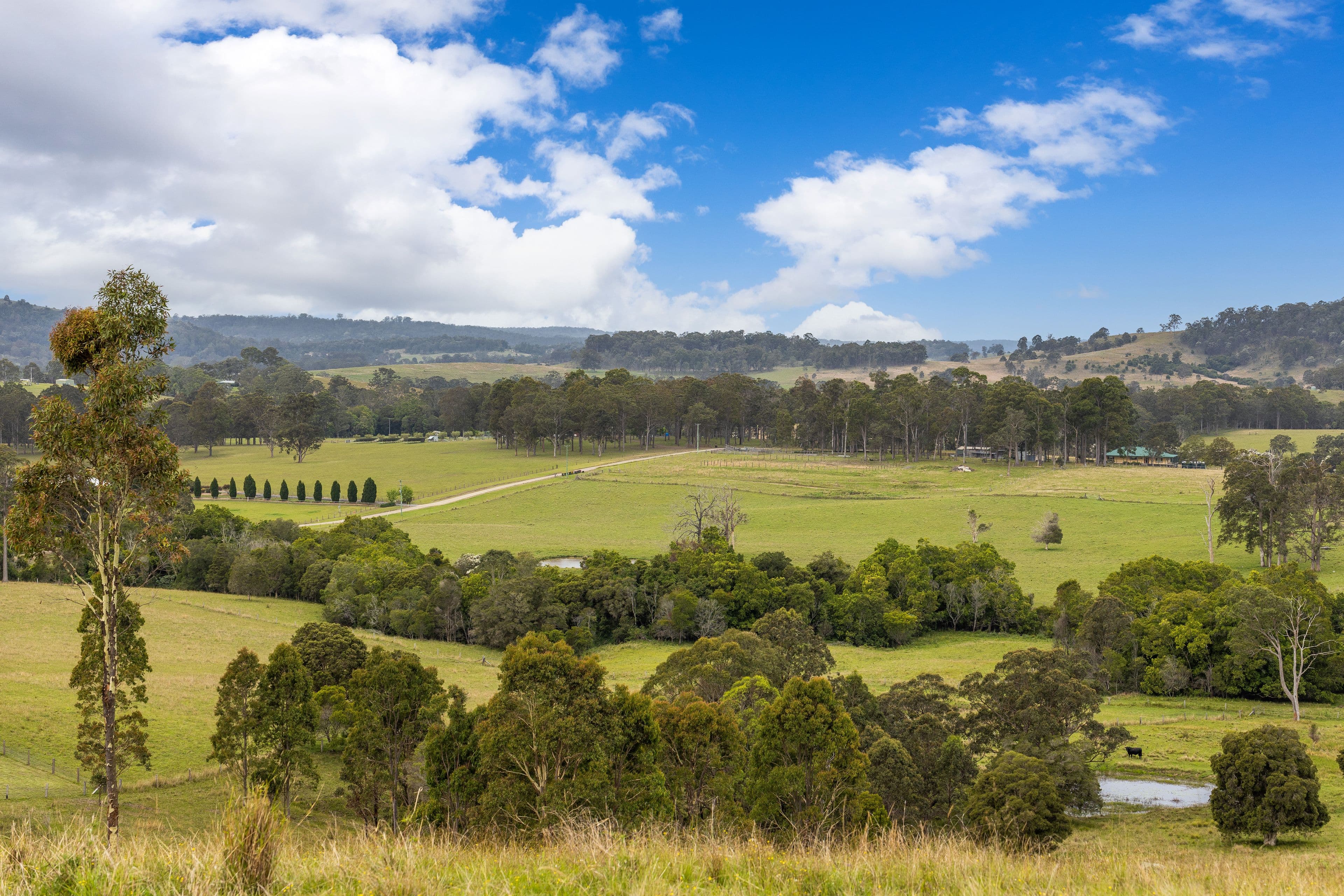117 Norries Road, Bunyah NSW 2429, Bunyah - Thumbnail 3