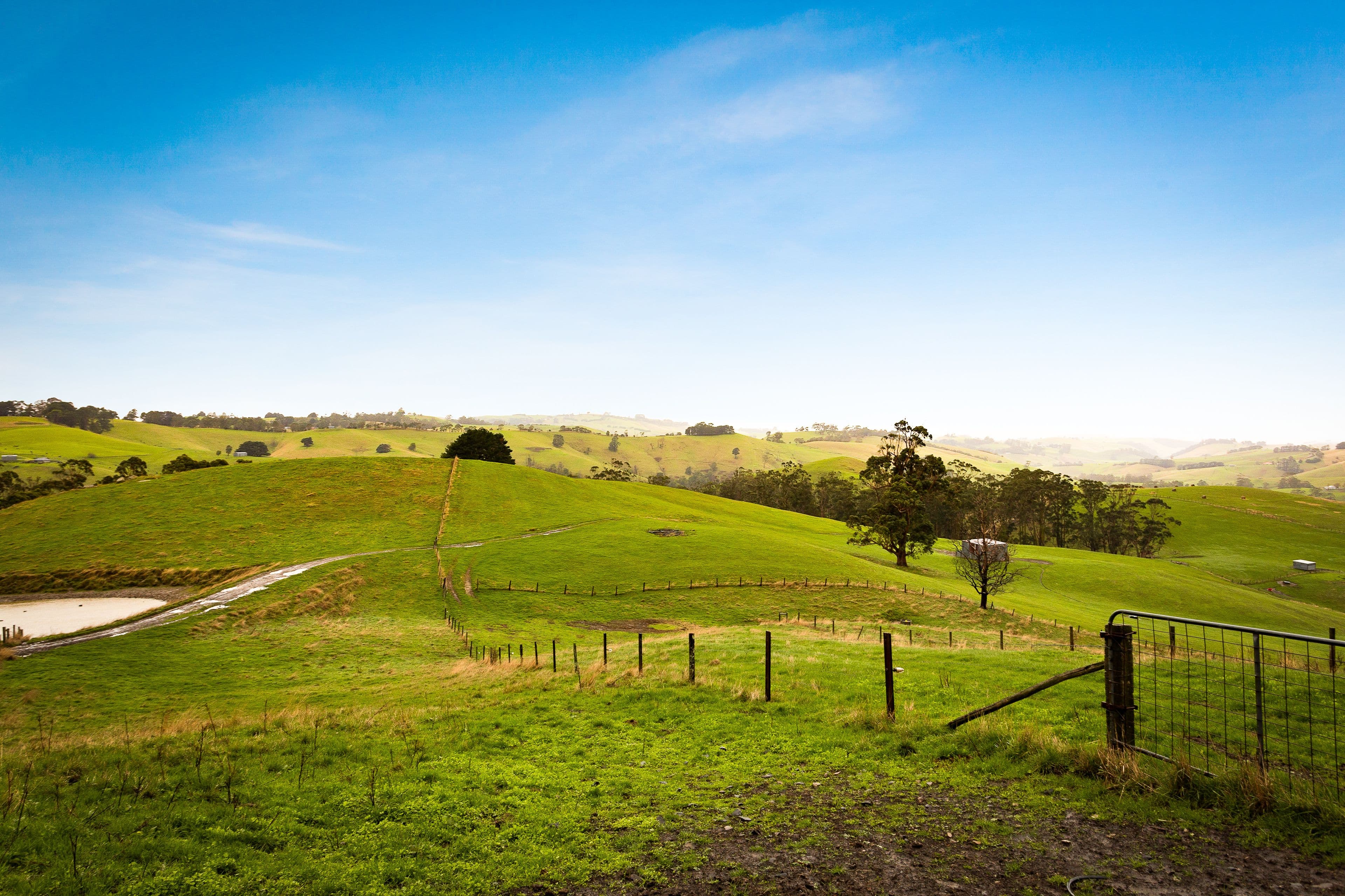 110 Rowes Road, Ranceby VIC 3951, Ranceby - Thumbnail 2