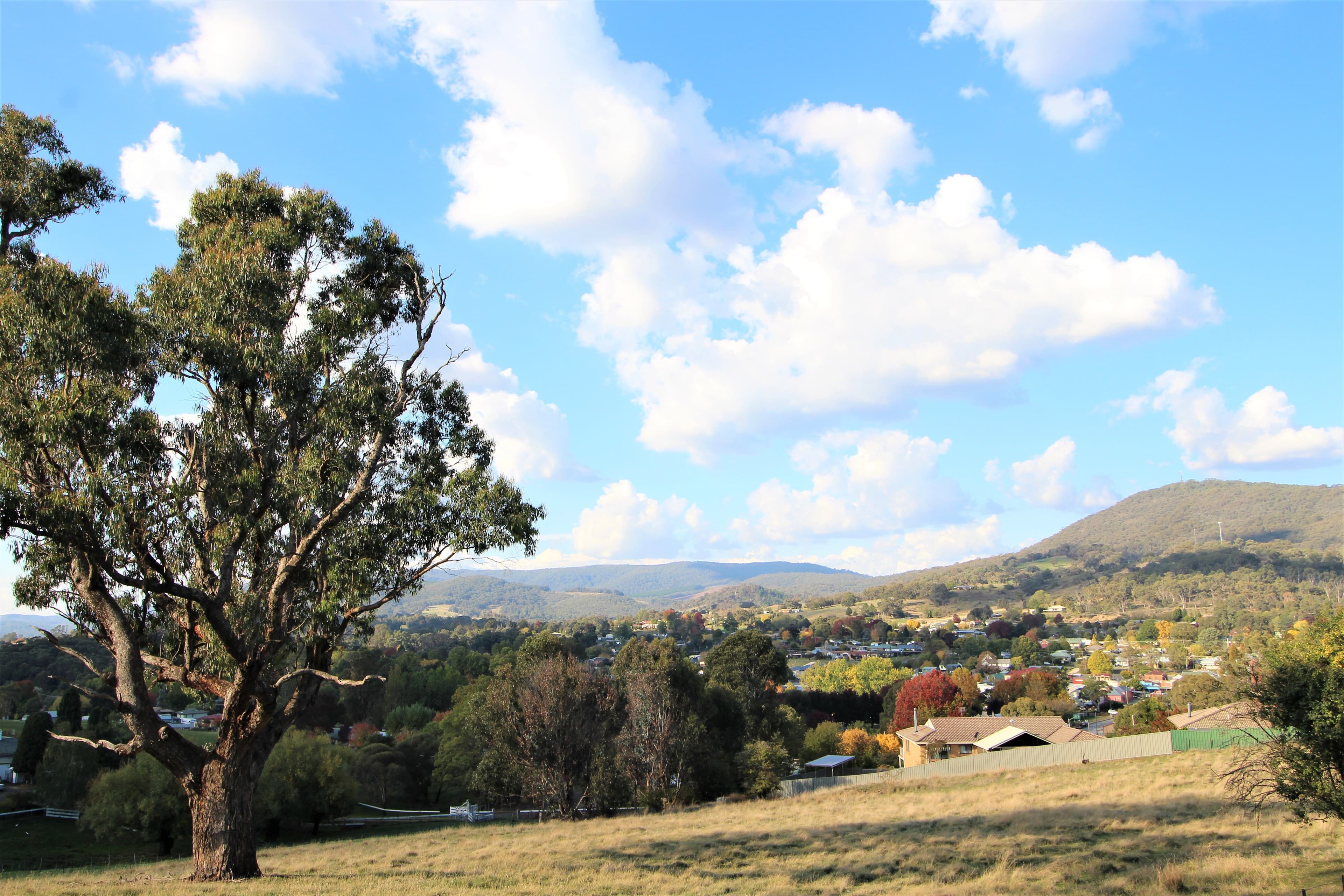 58 Albury Street, Tumbarumba - Image 1