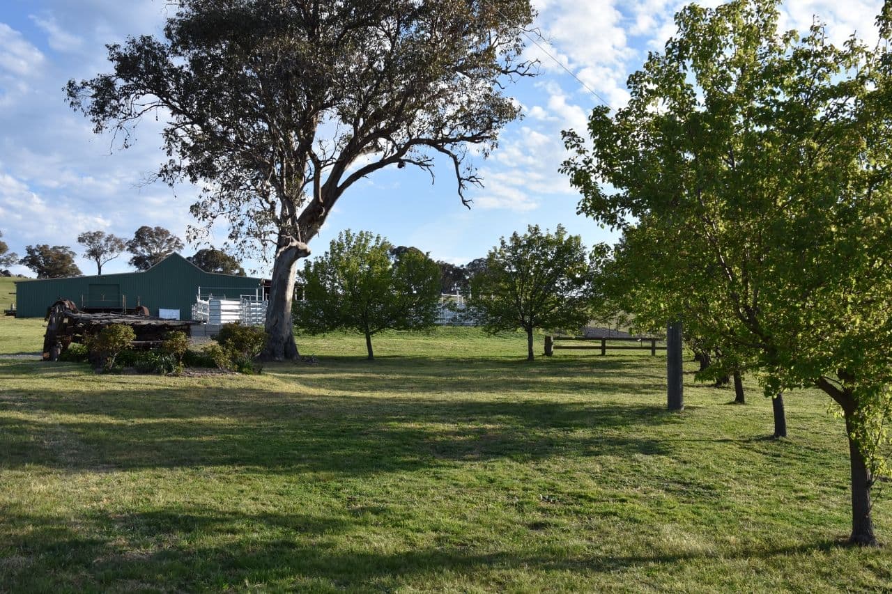 401 Lucan Road, Lyndhurst NSW 2797, Lyndhurst - Thumbnail 8