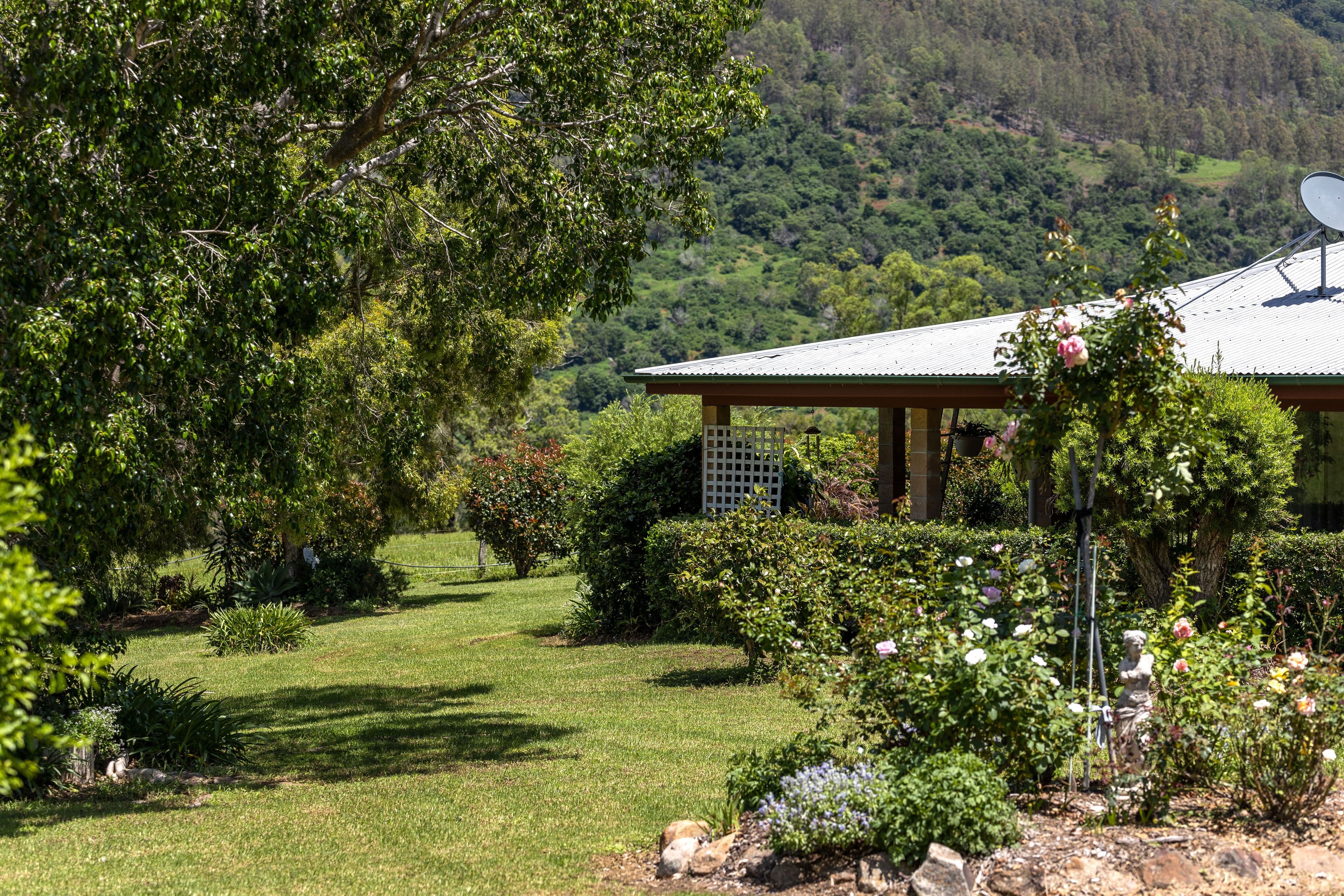 1187 Nowendoc Road, Mount George NSW 2424, Mount George - Thumbnail 5