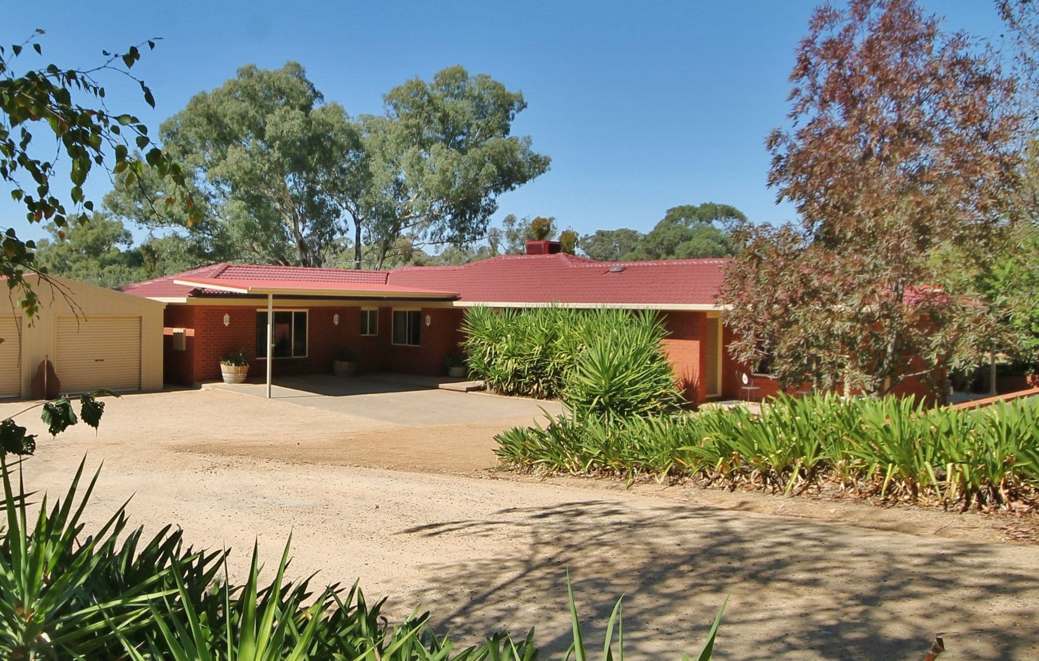 50 - 52 Petticoat Lane, Young NSW 2594, Young - Image 1