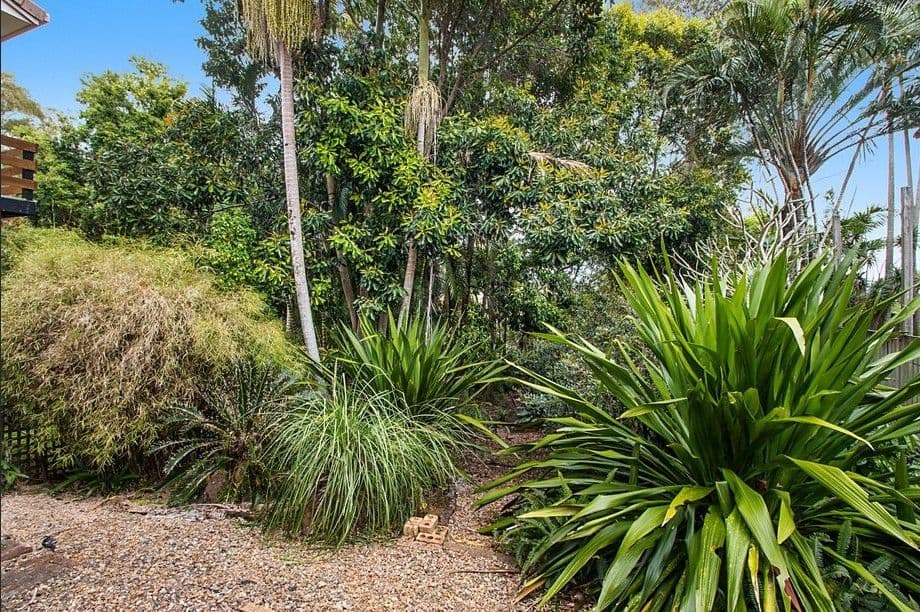 1/3 Curtawilla Street, Banora Point NSW 2486, Banora Point - Thumbnail 8