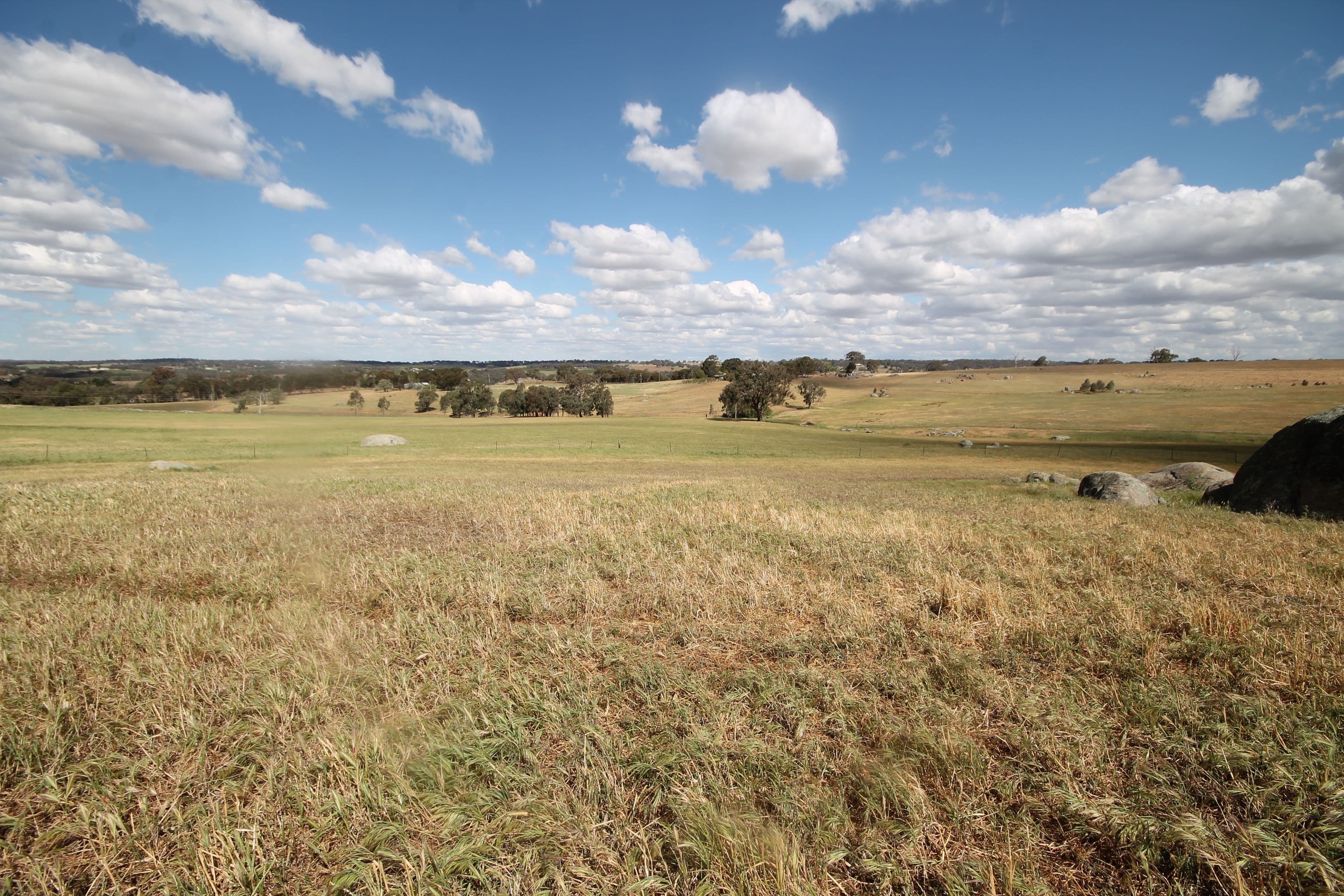 495 Spring Creek Road, Young NSW 2594, Young - Thumbnail 2