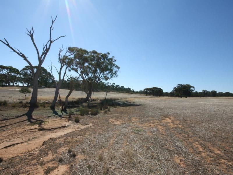 569 Wychitella Road, Wedderburn VIC 3518, Wedderburn - Thumbnail 3