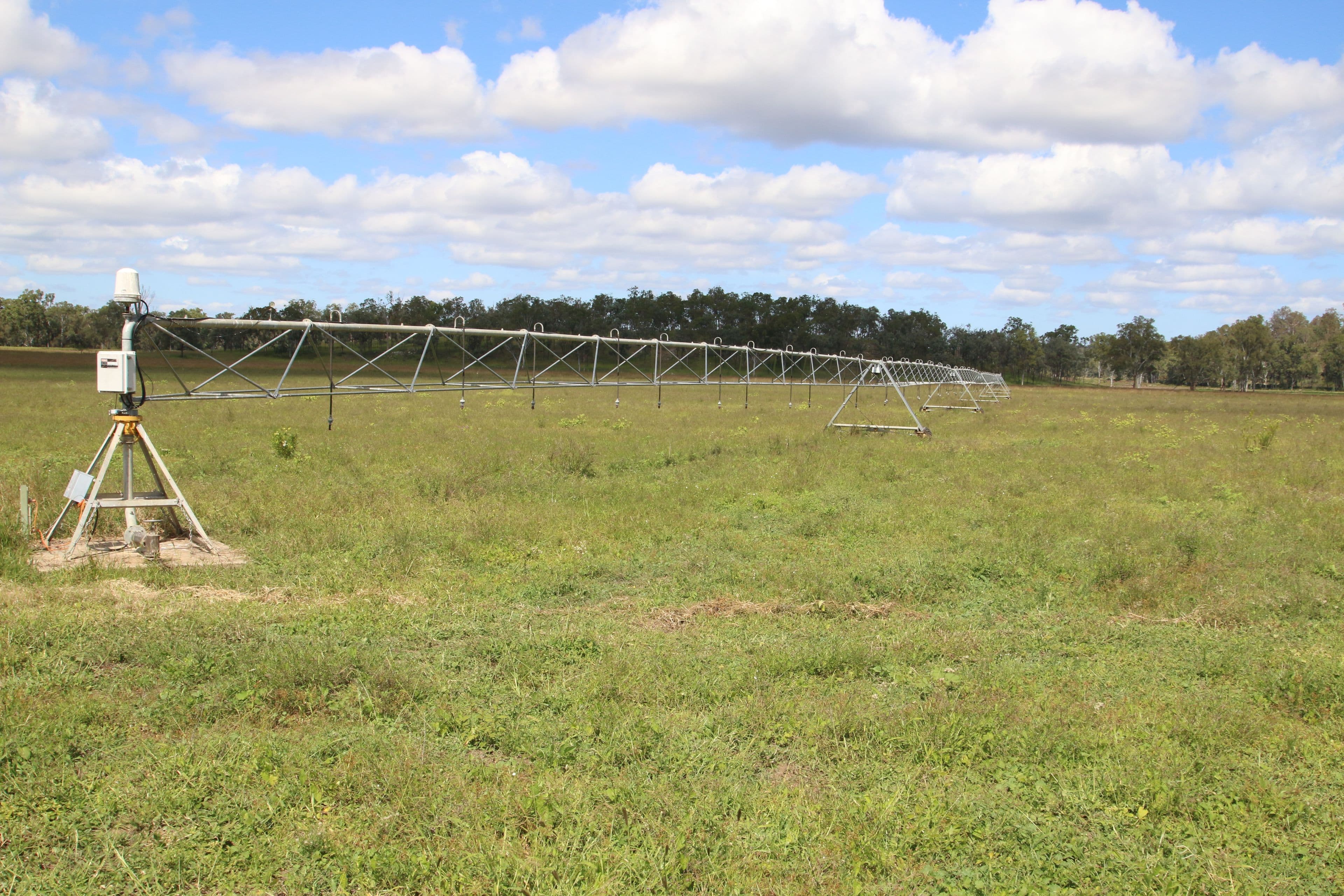 Monto QLD 4630, Monto - Image 1