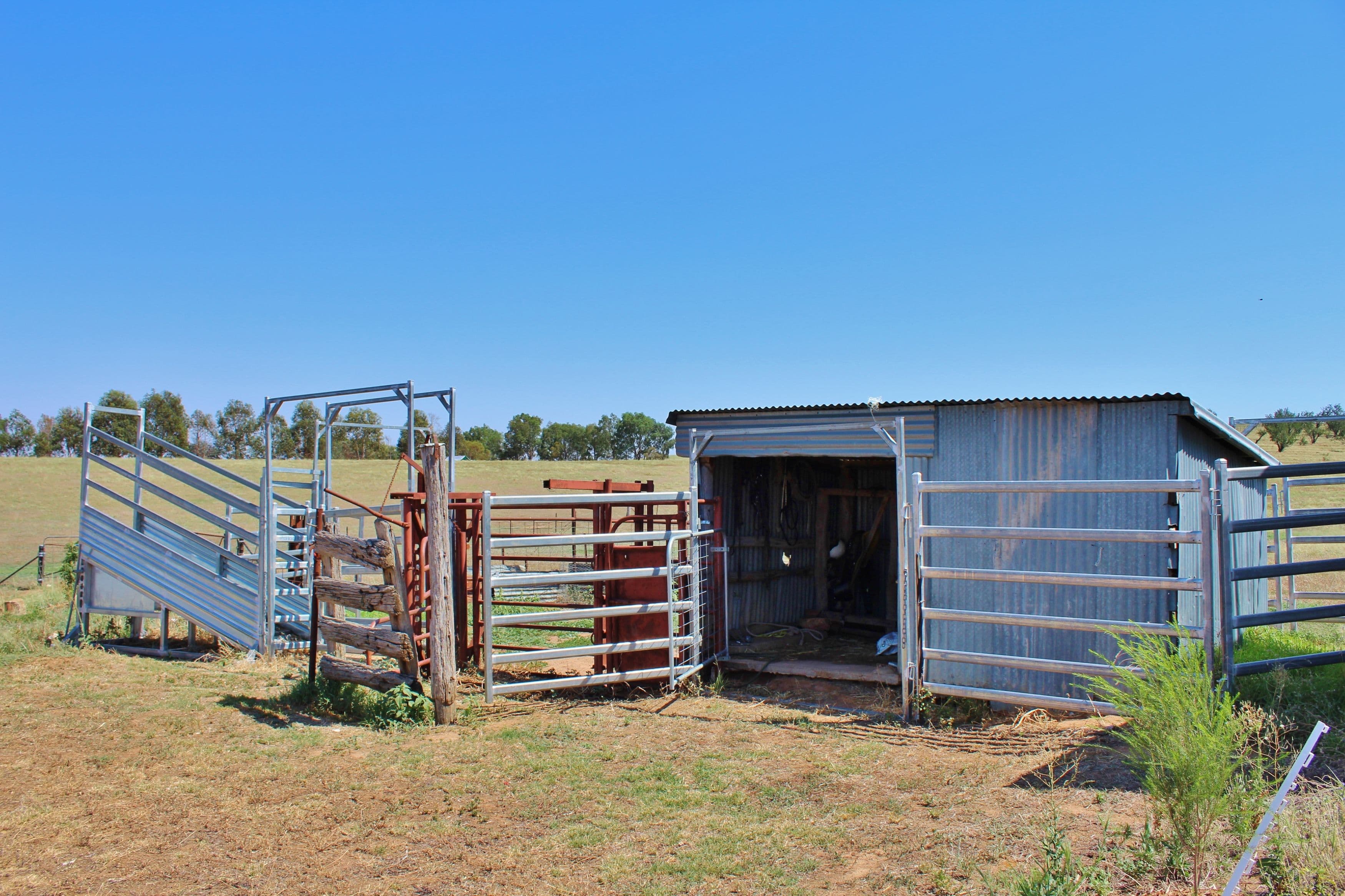 179 Wirrimah Road Greenethorpe, via, Young NSW 2594, Young - Thumbnail 8