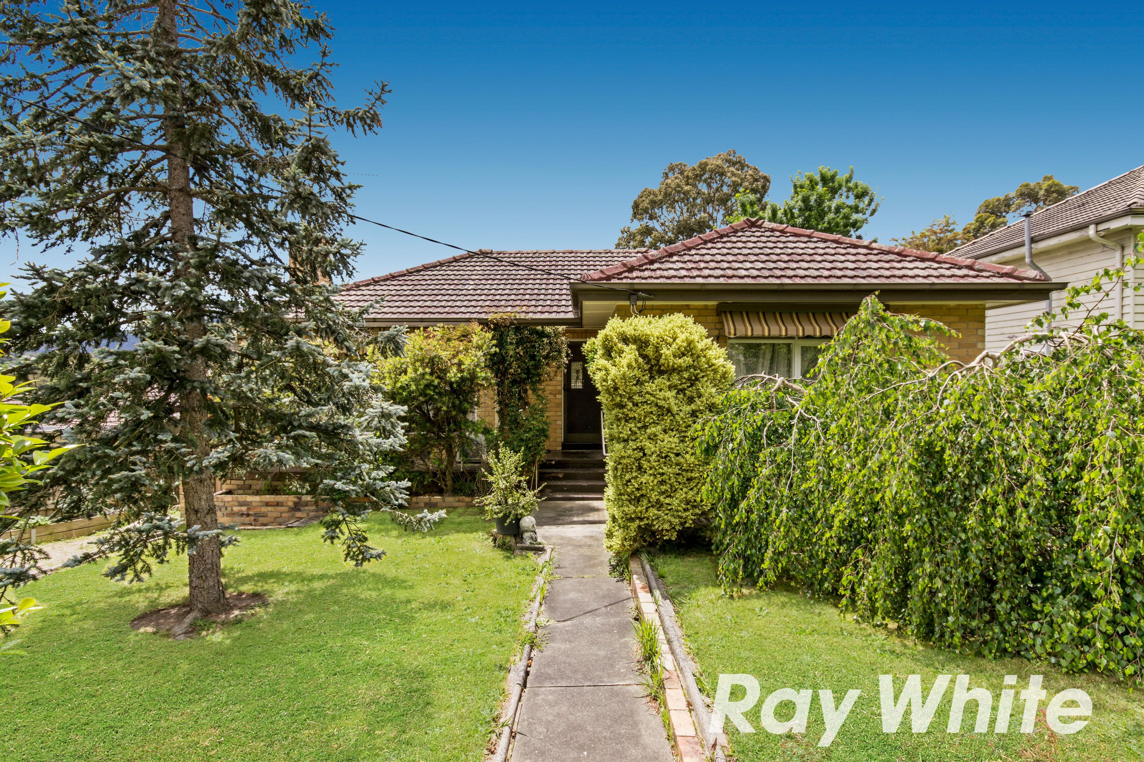 19 Nathan Street, Ferntree Gully VIC 3156, Ferntree Gully - Thumbnail 2