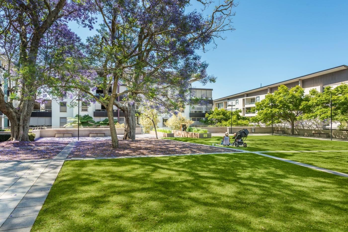 4 Sterling Circuit, Camperdown NSW 2050, Camperdown - Thumbnail 7