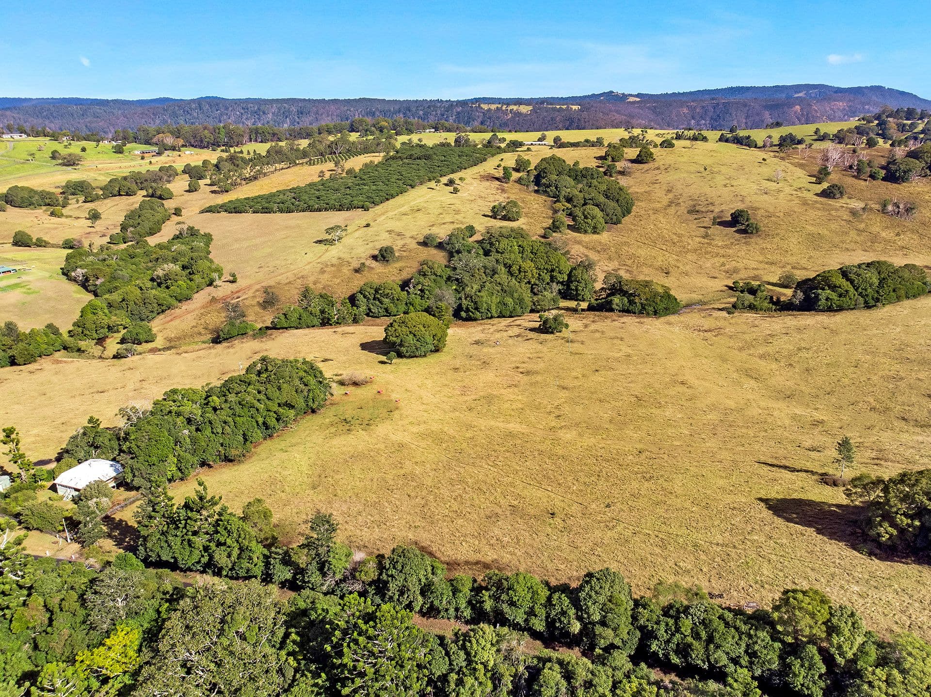 360 Binna Burra Road, Beechmont QLD 4211, Beechmont - Thumbnail 2