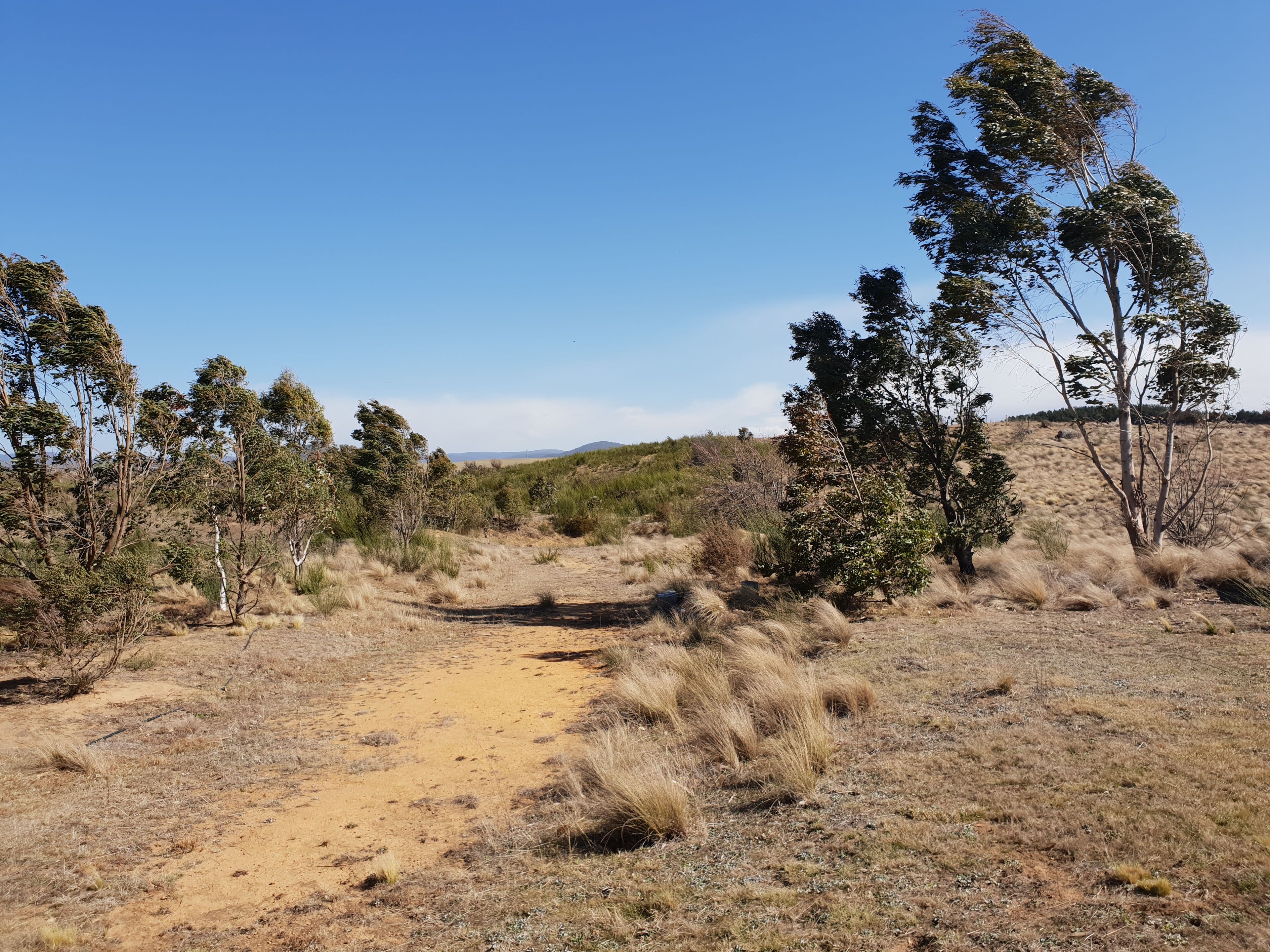 4639 Cooma Road, Krawarree, Braidwood NSW 2622, Braidwood - Thumbnail 5