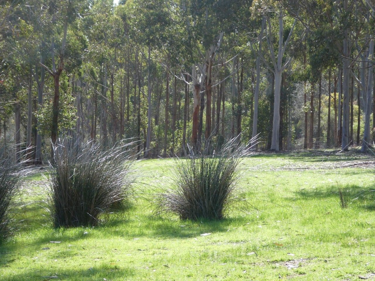518 Harvey Road, Denbarker WA 6324, Denbarker - Thumbnail 7