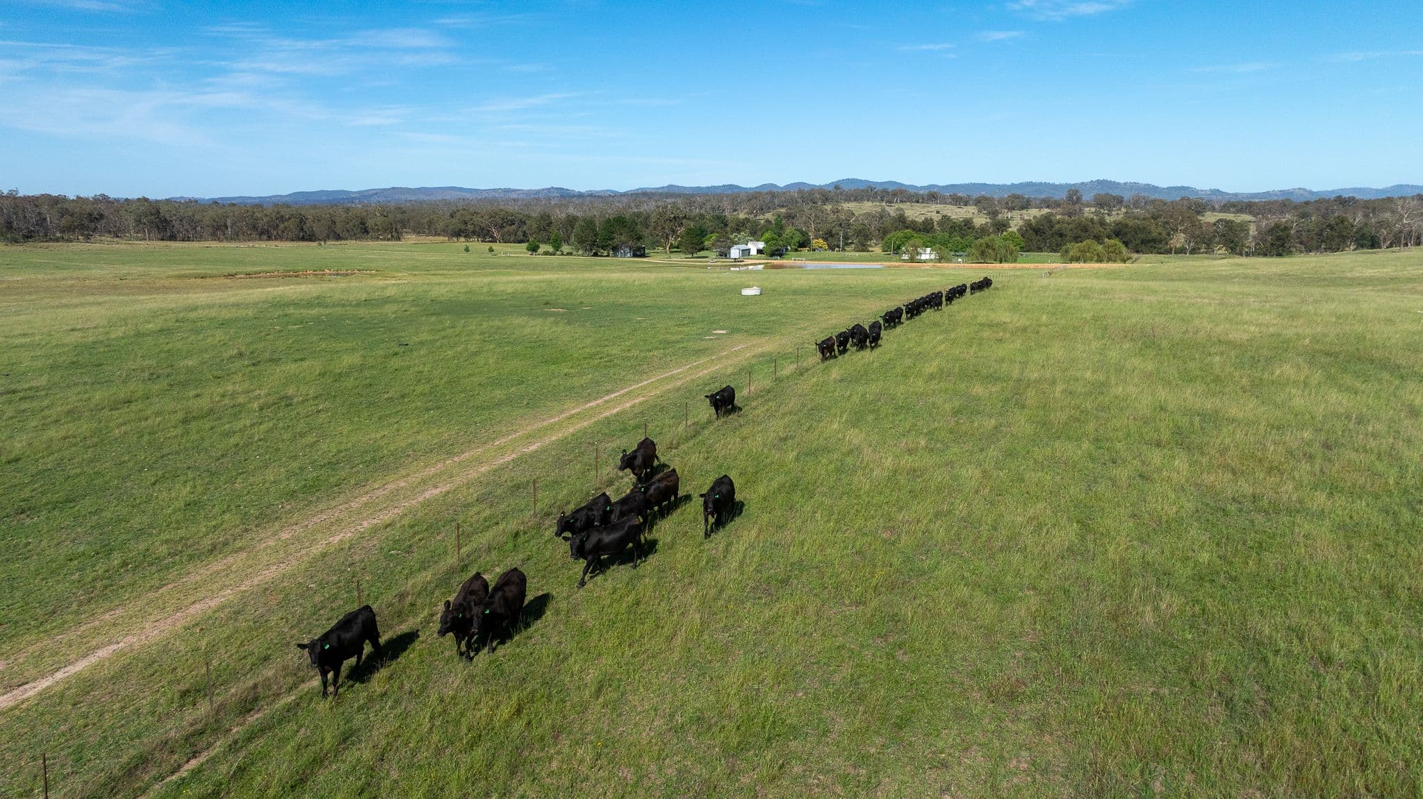 610 Gwydir Park Road, Torryburn NSW 2358, Torryburn - Thumbnail 6