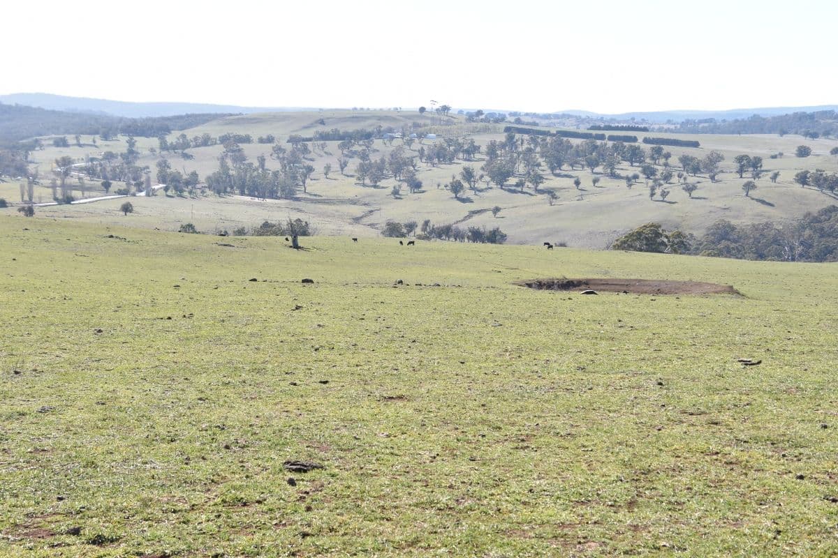 6466 Abercrombie Road, Oberon NSW 2787, Oberon - Thumbnail 2