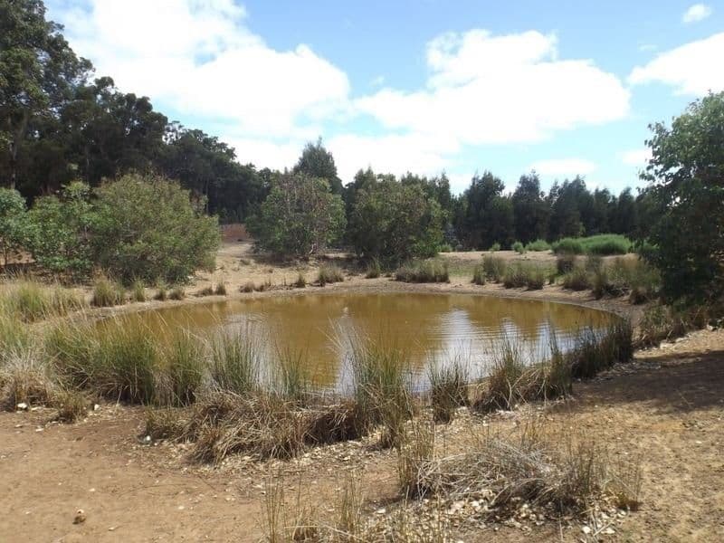 Bridgetown WA 6255, Bridgetown - Thumbnail 4