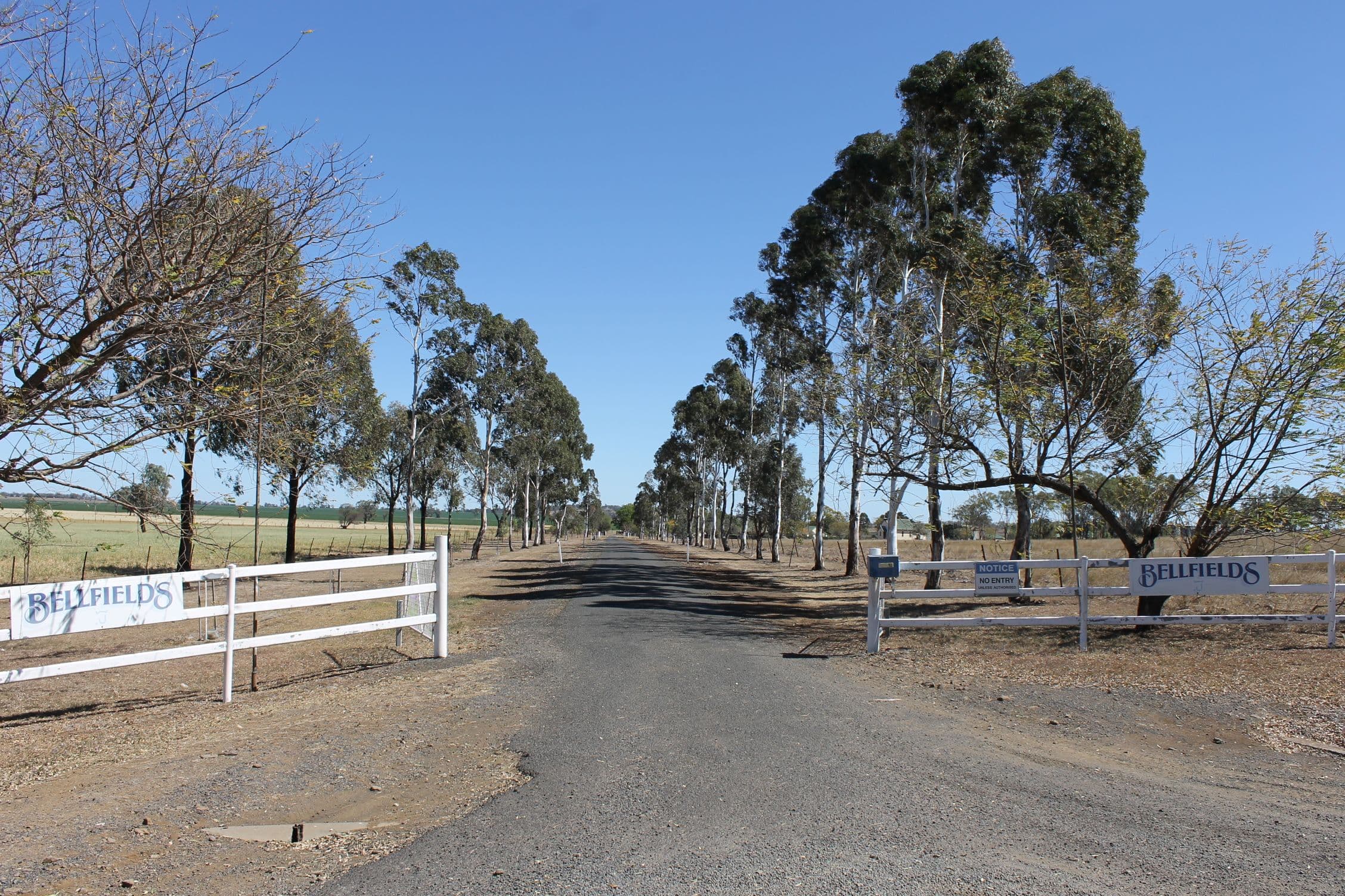 1251 Bunya Highway, Dalby QLD 4405, Dalby - Thumbnail 2