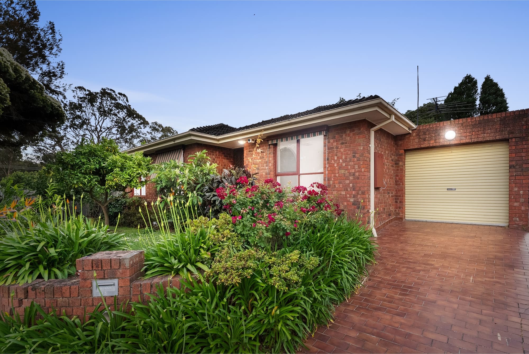1/5 Lucia Street, Blackburn South - Image 1