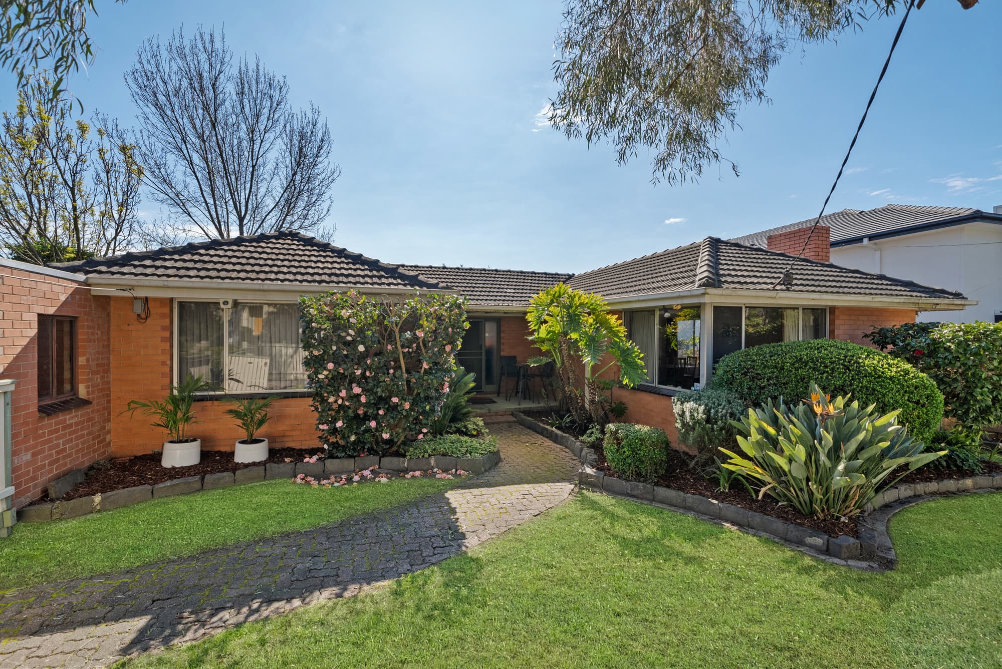 1/1 Bindy Street, Blackburn South - Image 1