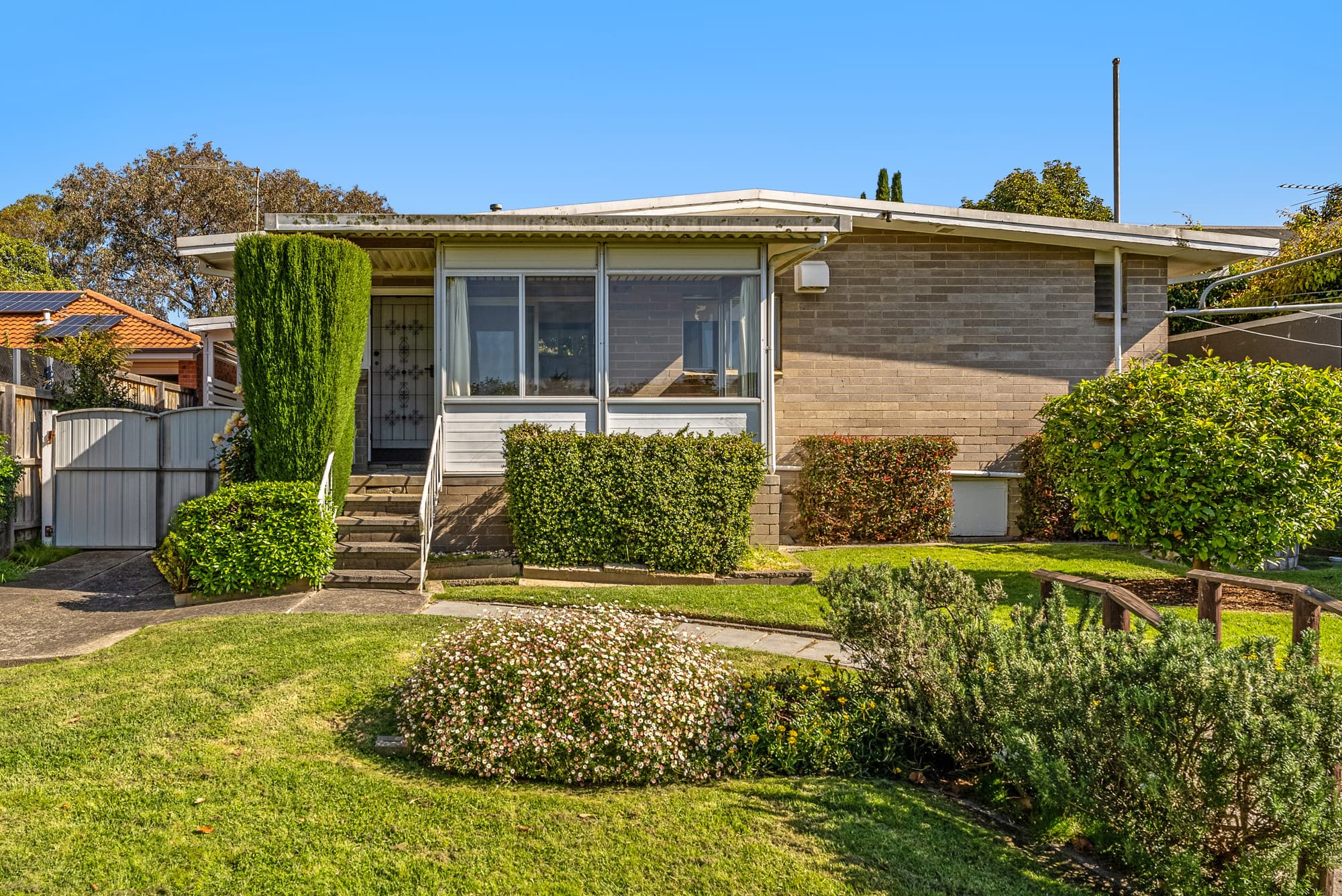 16 Cairo Road, Mont Albert North - Thumbnail 2