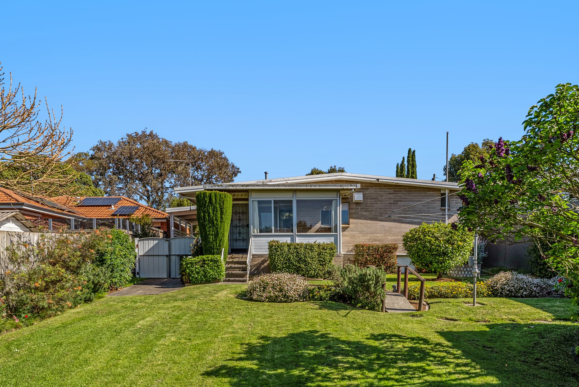 16 Cairo Road, Mont Albert North - Thumbnail 3