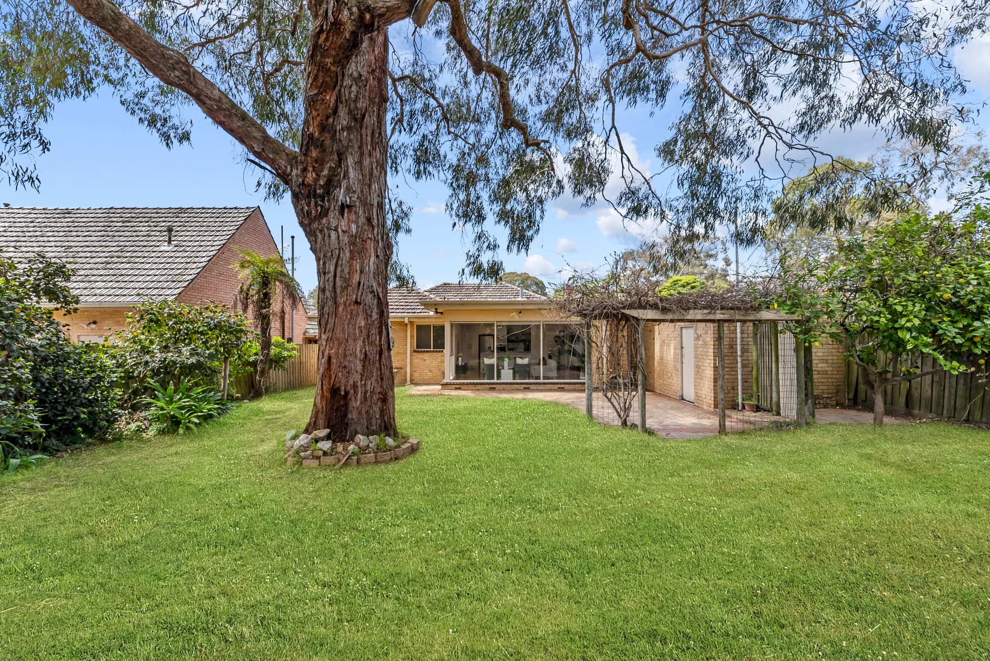 24 Drummond Street, Blackburn South - Thumbnail 2