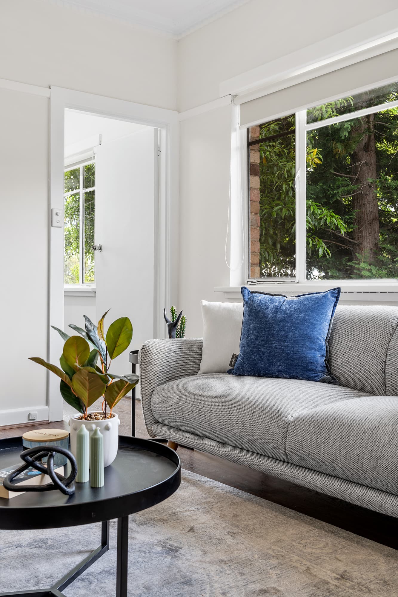791 Canterbury Road, Surrey Hills - Thumbnail 5