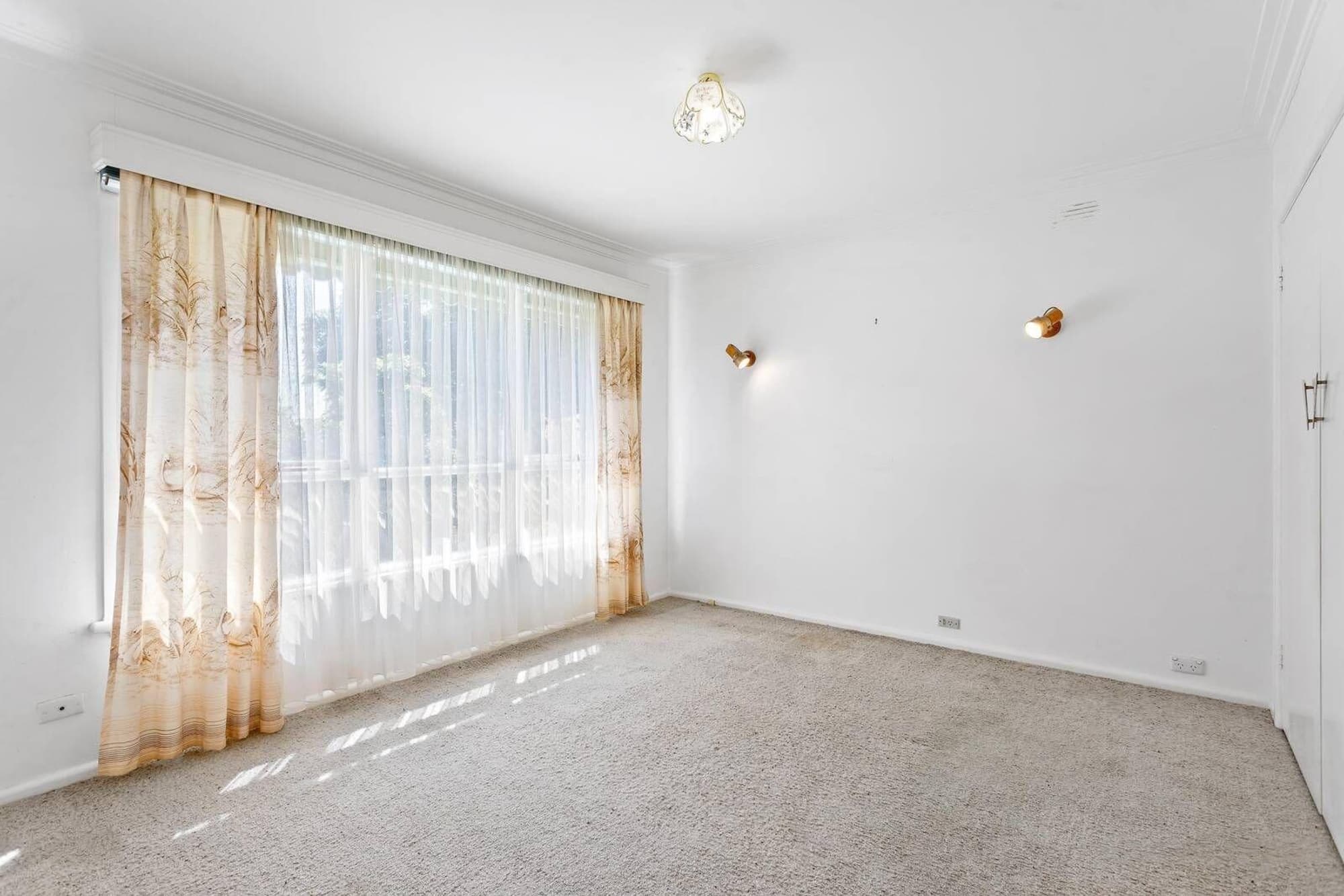 62 Hibiscus Road, Blackburn North - Thumbnail 4