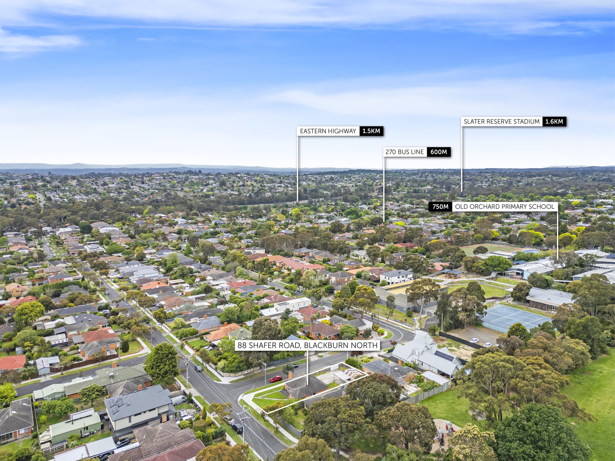 88 Shafer Road, Blackburn North - Thumbnail 7