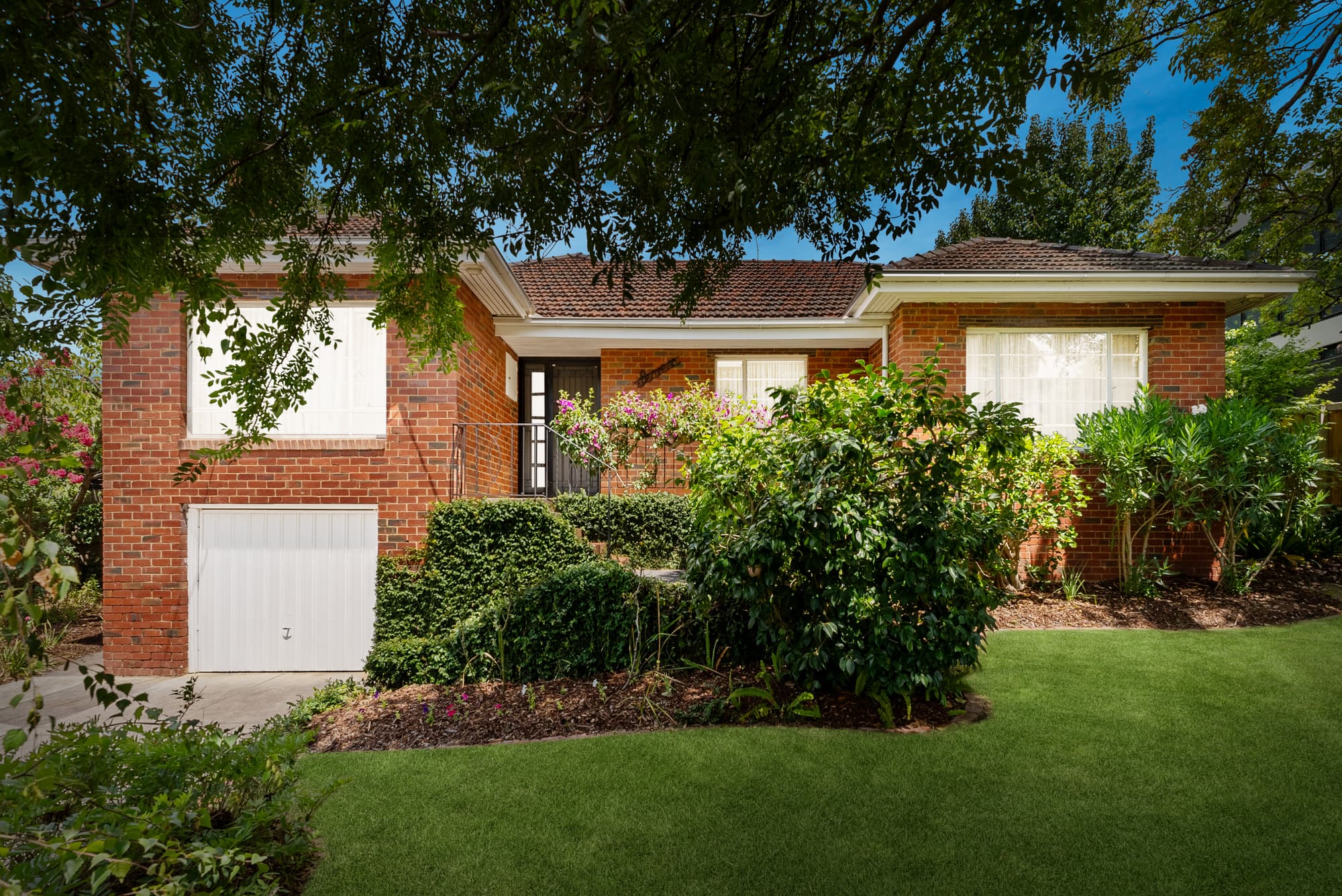 7 Hawkins Avenue, Mont Albert North - Image 1