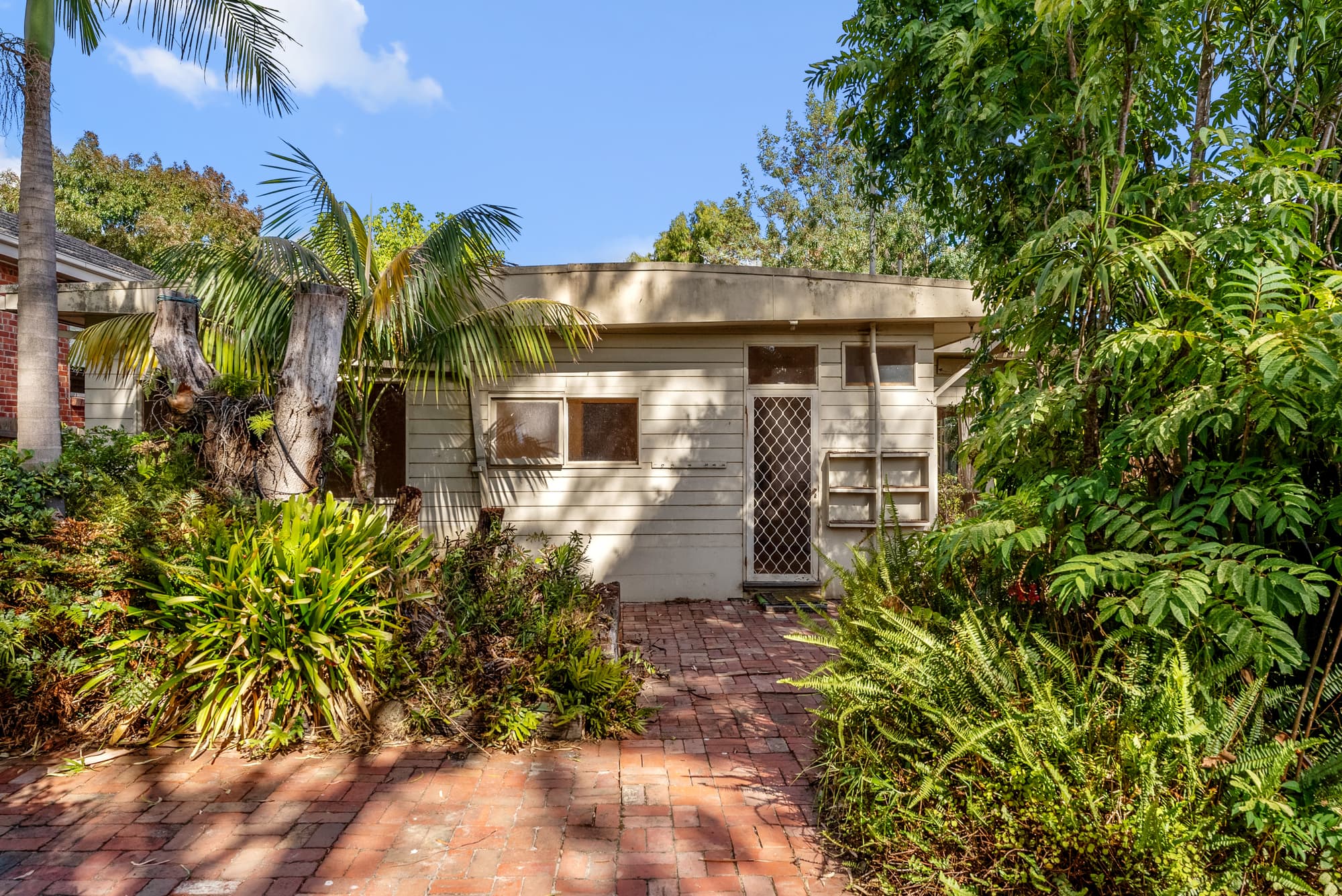 22 Jackson Avenue, Mont Albert North - Thumbnail 8