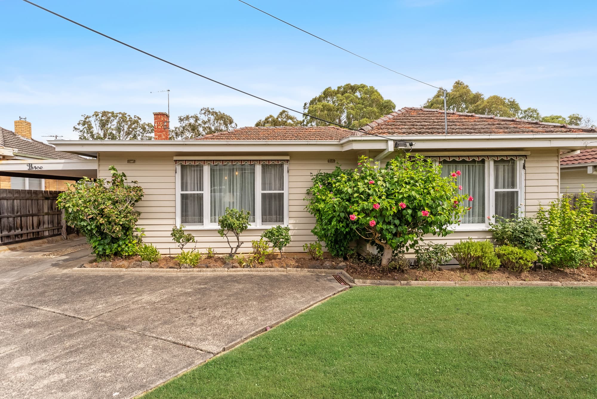 3 Harrison Street, Box Hill North - Thumbnail 2