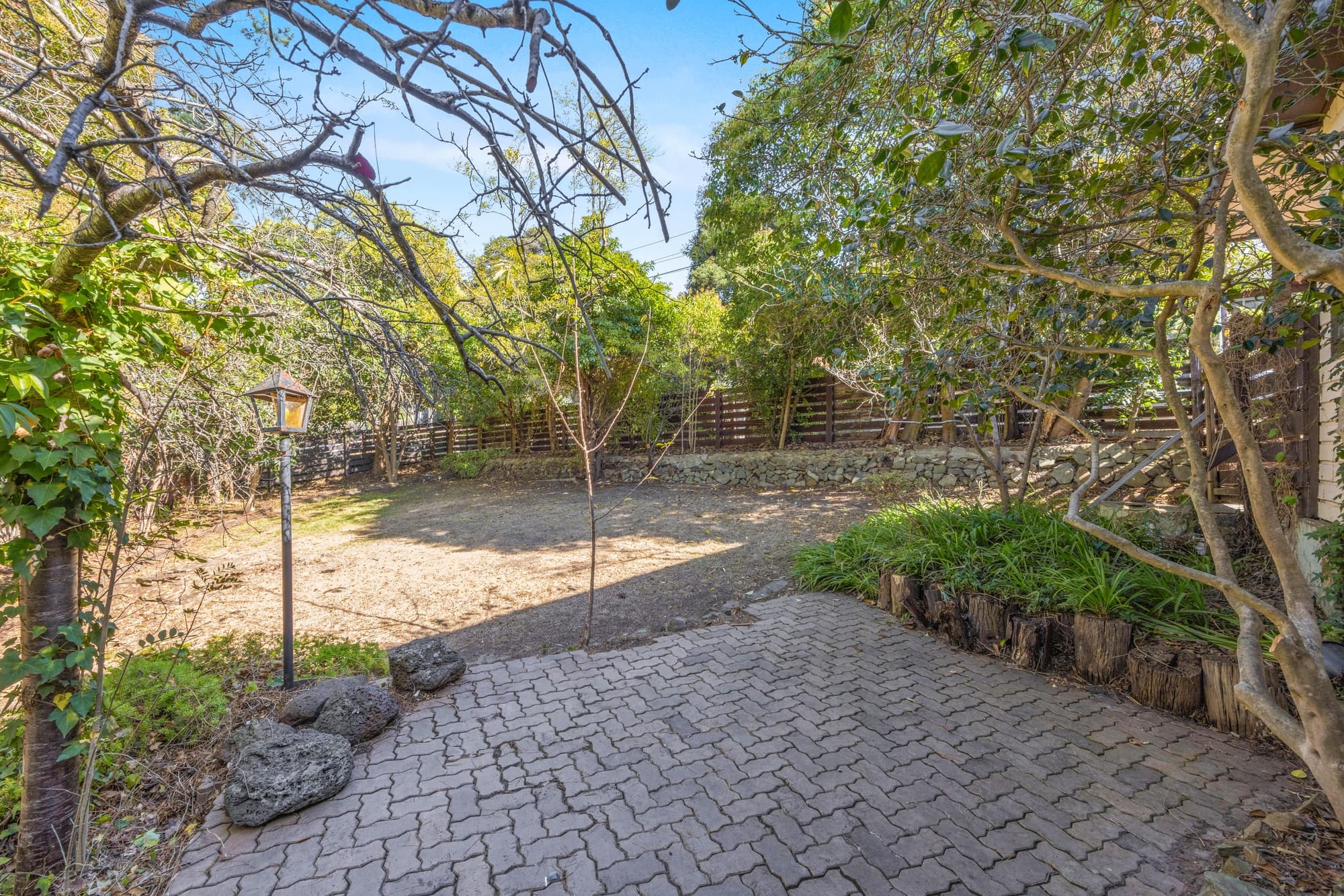 30 Jackson Avenue, Mont Albert North - Thumbnail 5