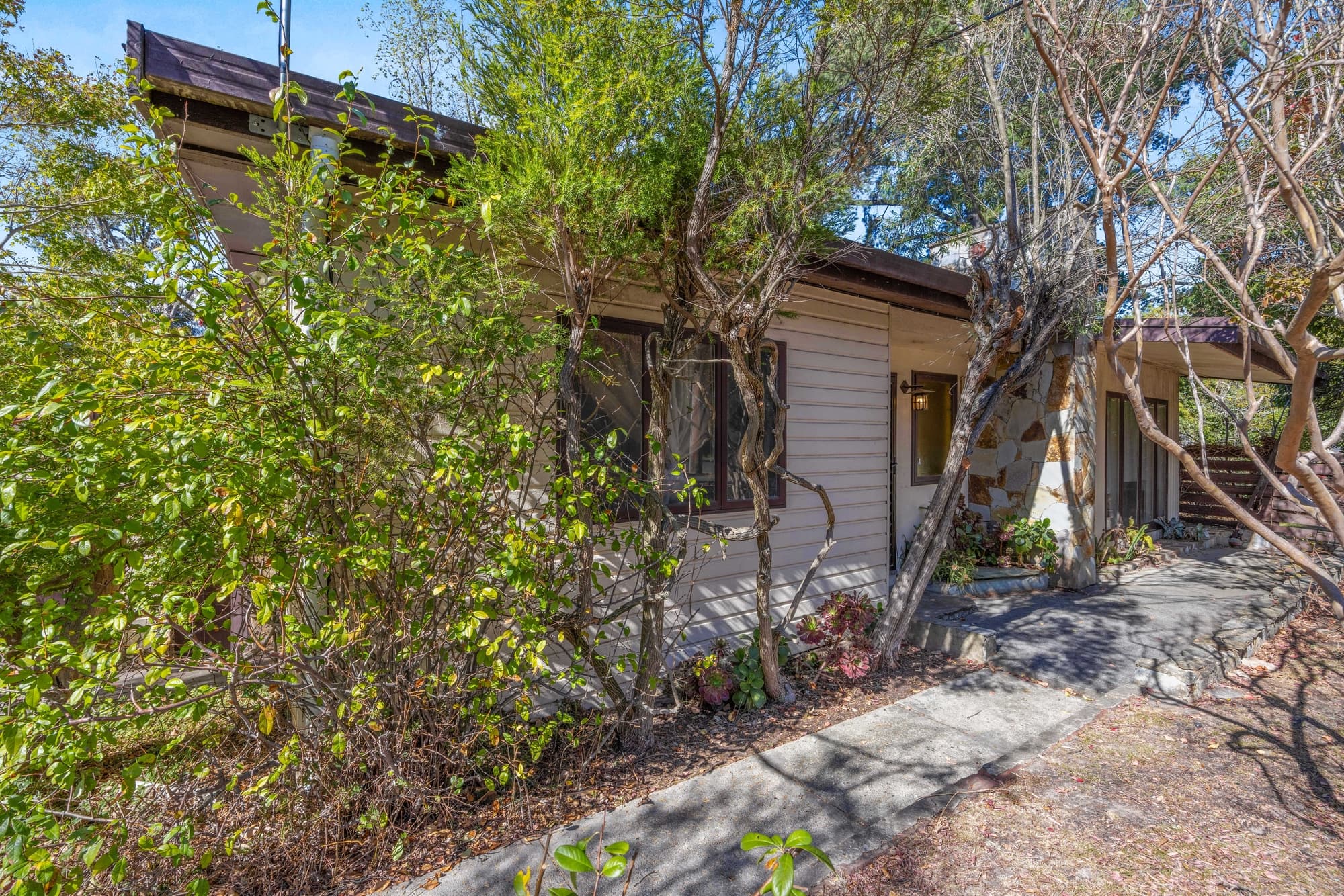 30 Jackson Avenue, Mont Albert North - Thumbnail 4