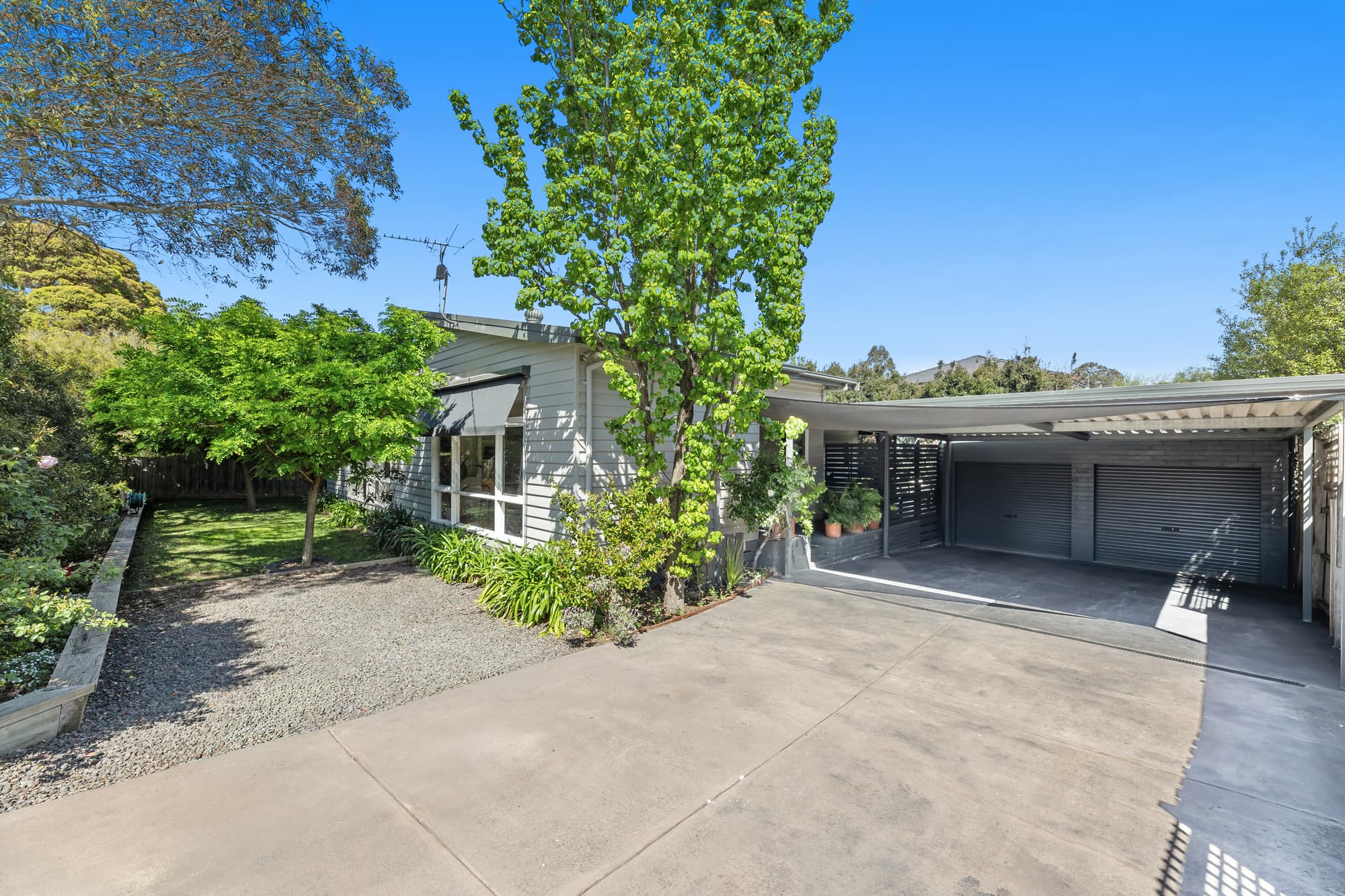 38 Bridgeford Avenue, Blackburn North - Image 1
