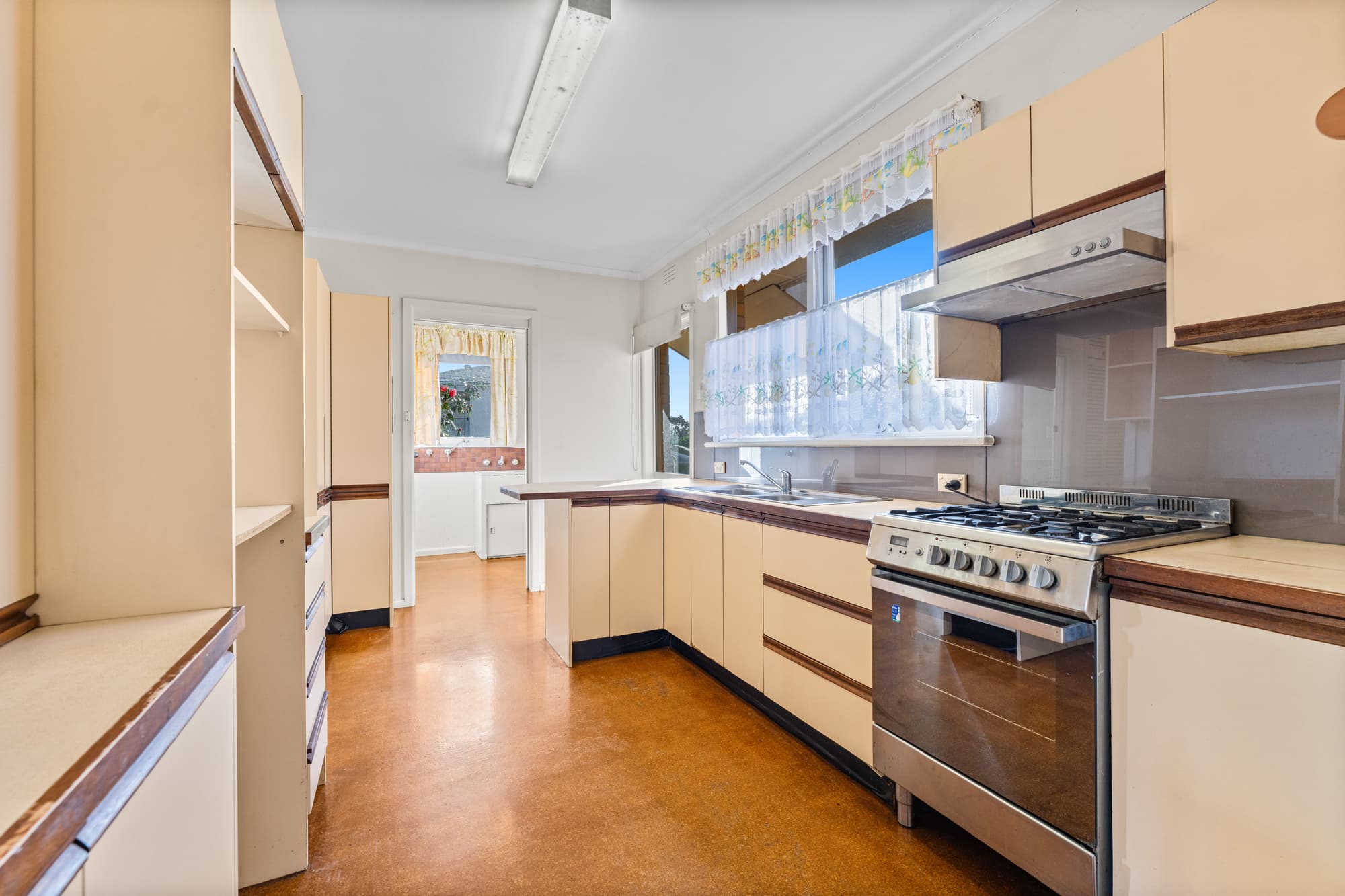 3 Ventura Street, Blackburn North - Thumbnail 4