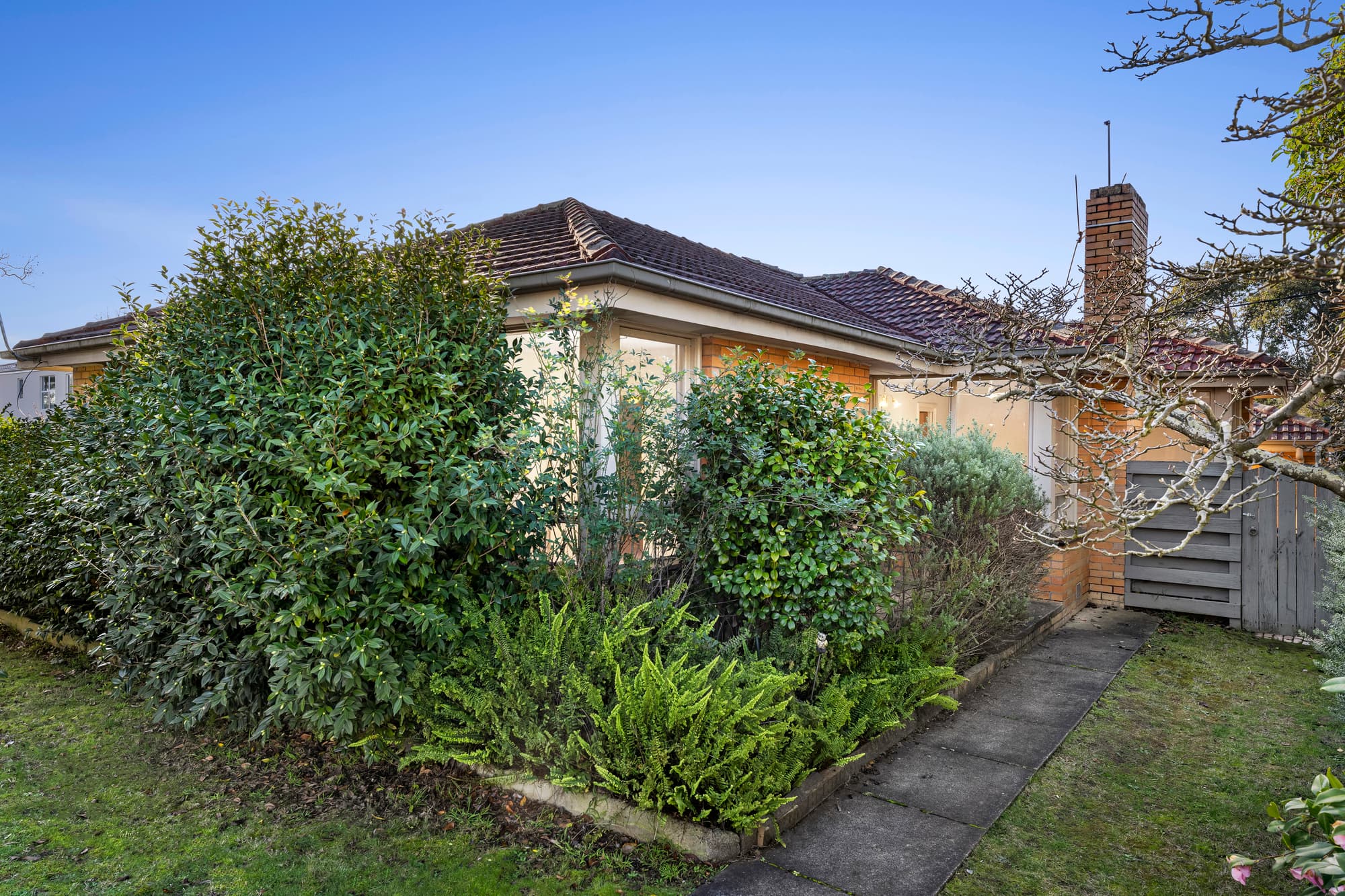 3 Ventura Street, Blackburn North - Thumbnail 2