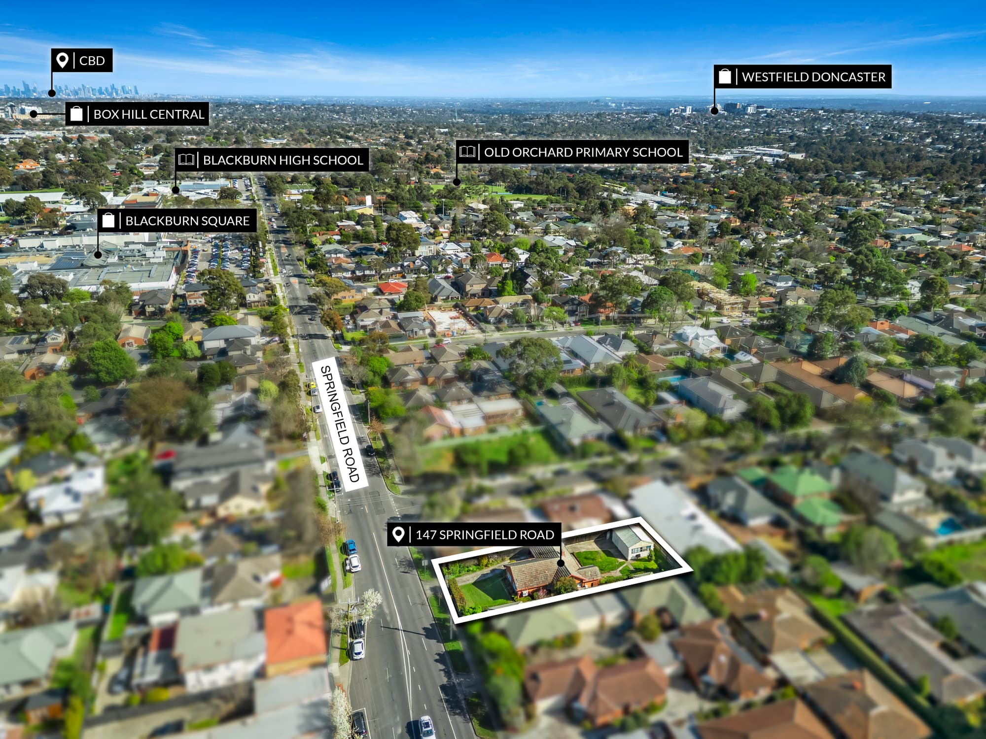 147 Springfield Road, Blackburn North - Thumbnail 5