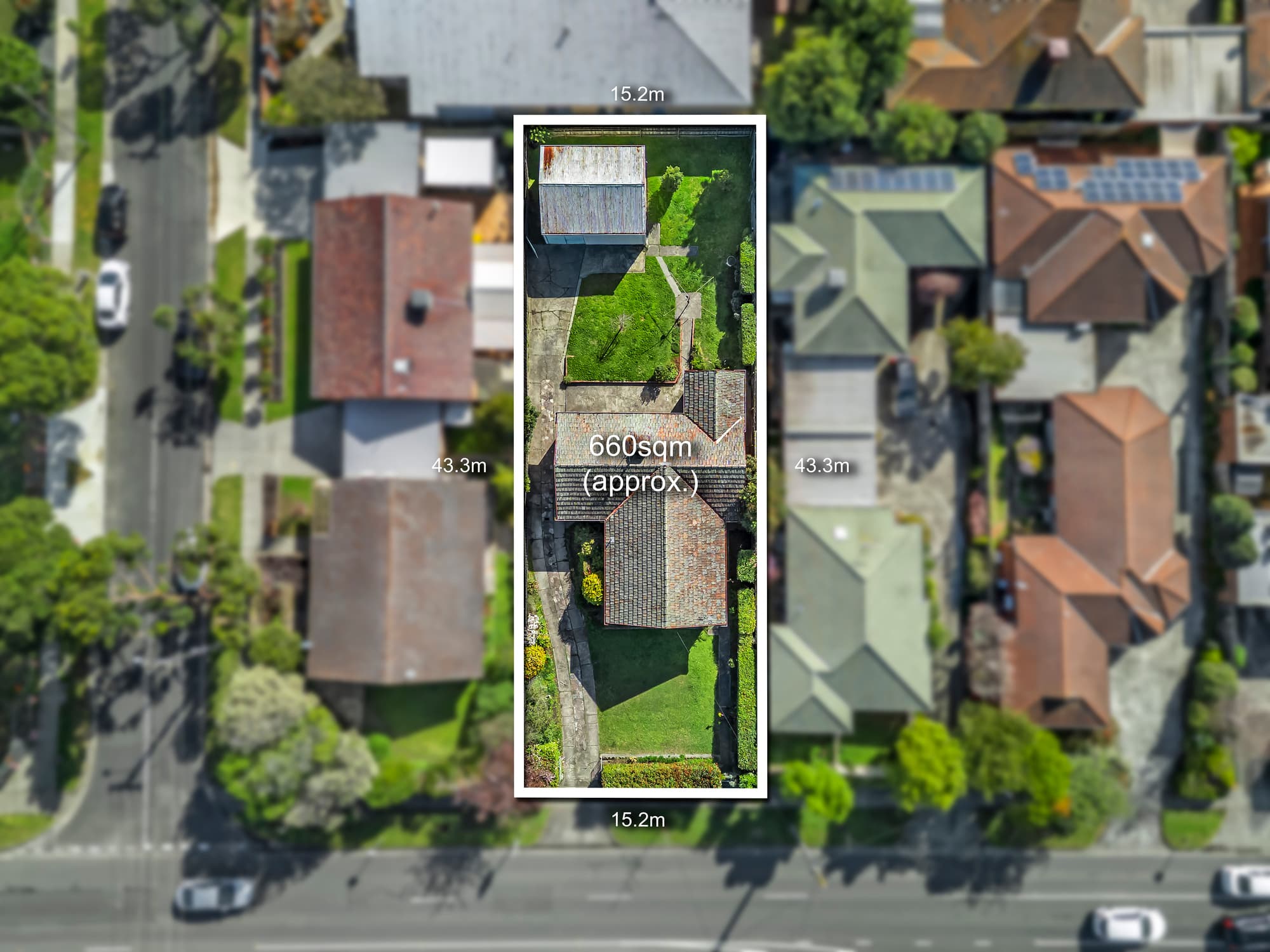 147 Springfield Road, Blackburn North - Thumbnail 3