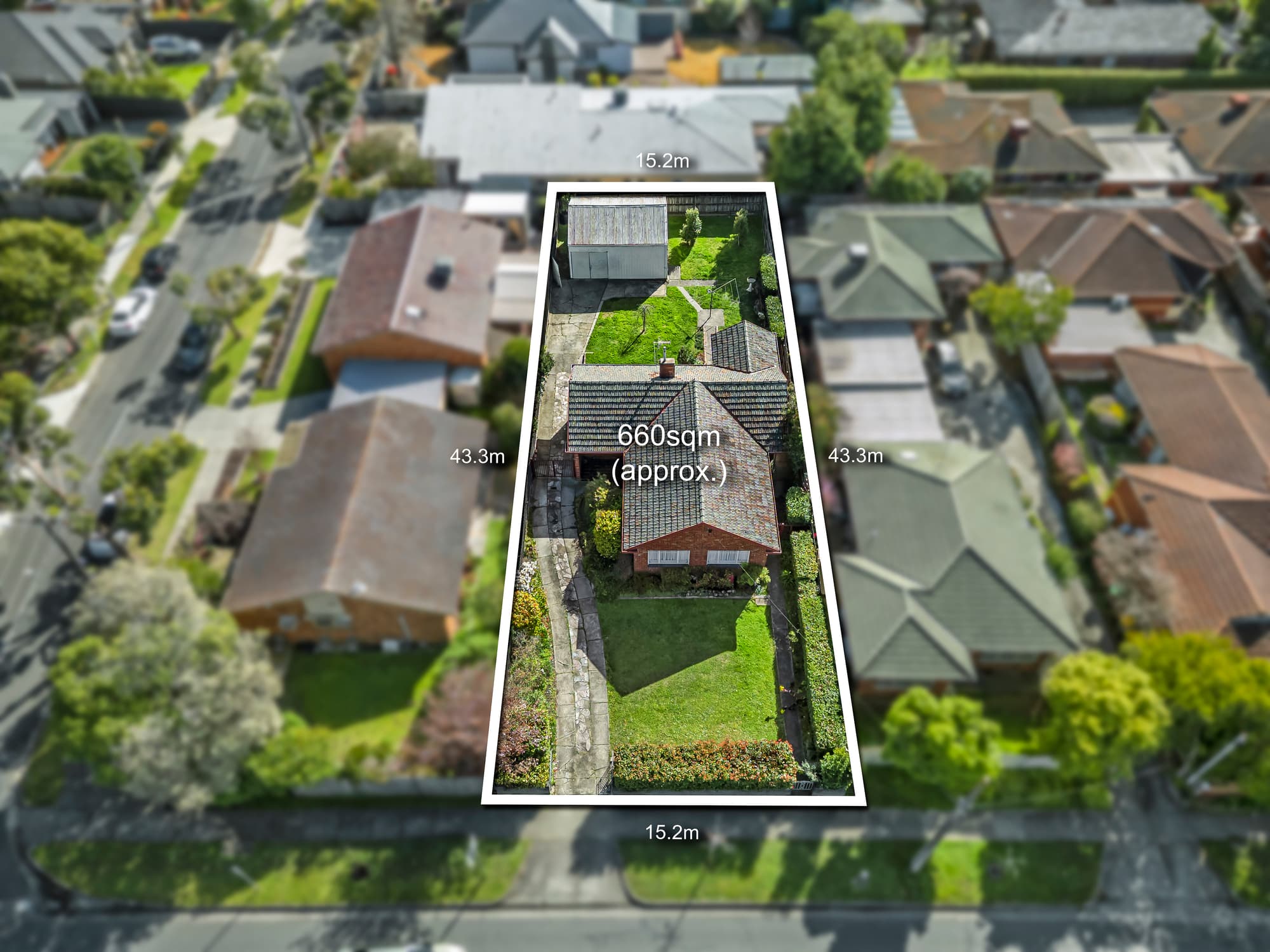 147 Springfield Road, Blackburn North - Thumbnail 4