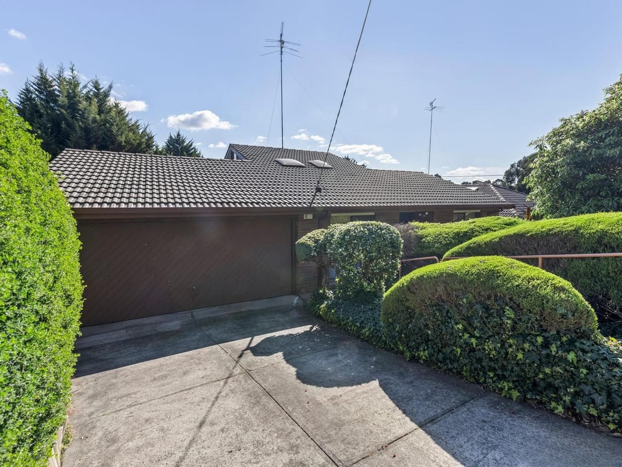 241 Andersons Creek Road, Doncaster East - Thumbnail 3