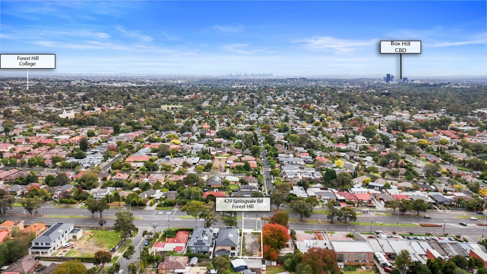 429 Springvale Road, Forest Hill - Thumbnail 6